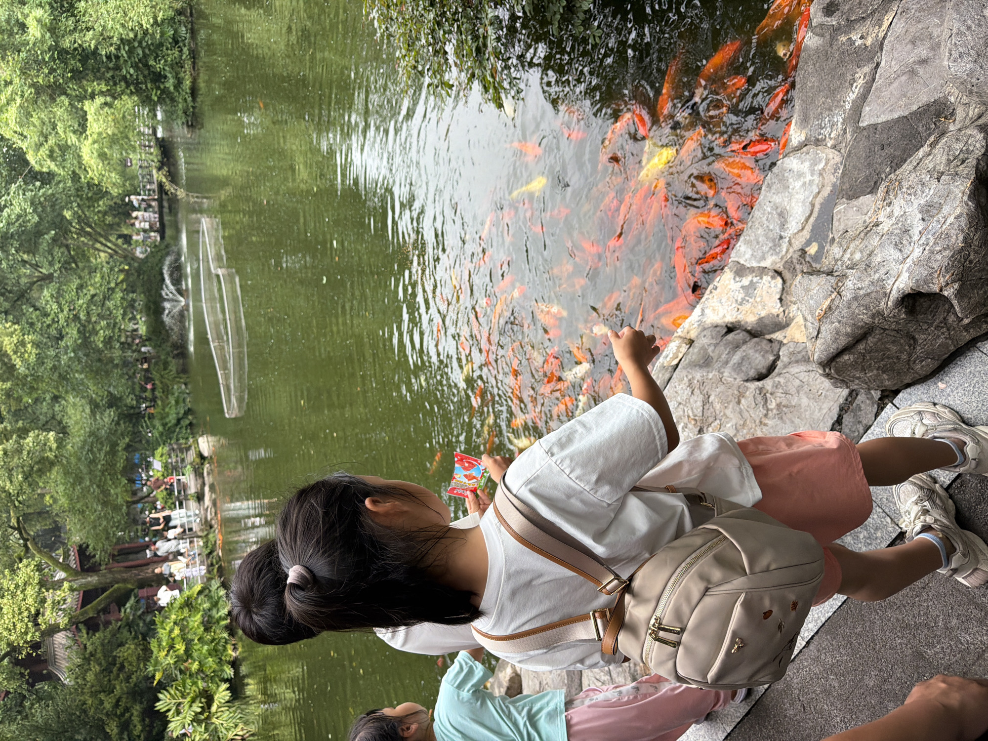 In the Jiulongpo District of China, at the edge of a pond teeming with koi, two young girls are interacting with the fish. The girl in the foreground, facing away from the camera, wears a white t-shirt, pink shorts, and a light-colored backpack. She is holding a small packet, possibly of fish food, and her right hand is extended towards the water. Beside her, a younger girl in a light blue t-shirt and pink pants looks towards the pond. The pond's surface is alive with numerous orange and yellow koi. In the background, lush green trees and traditional Chinese architecture frame the scene, with other park visitors visible across the water and on a bridge. The water reflects the surrounding greenery, and a fountain sprays in the distance. The ground beside the pond is rocky and paved.