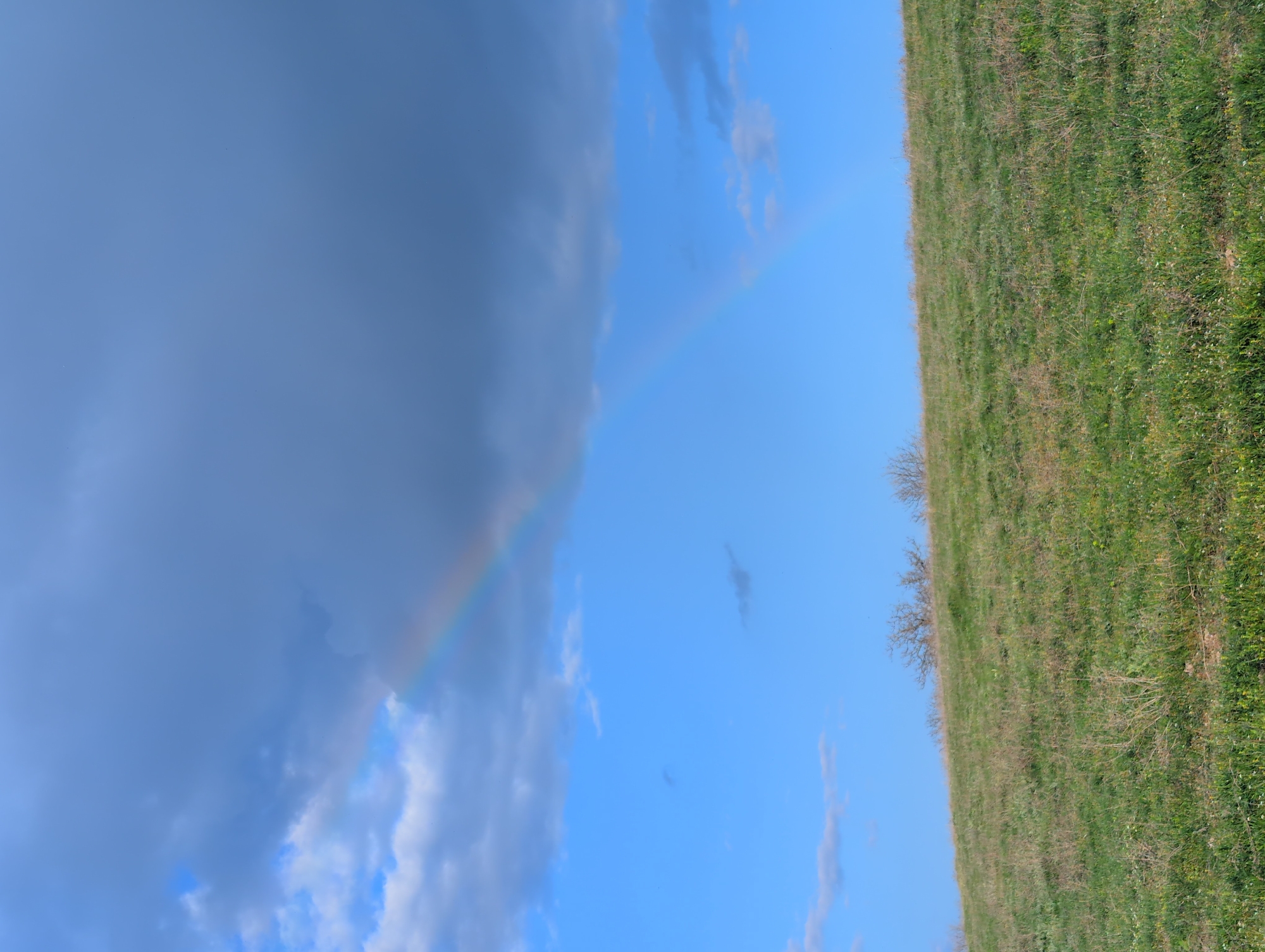 The image depicts a rural scene under a bright blue sky with scattered clouds. A partial rainbow arches across the sky between a large cluster of dark clouds on the left and a green hillside on the right. The hillside is covered with grass and sparse vegetation. The location is not discernible based on visual cues.