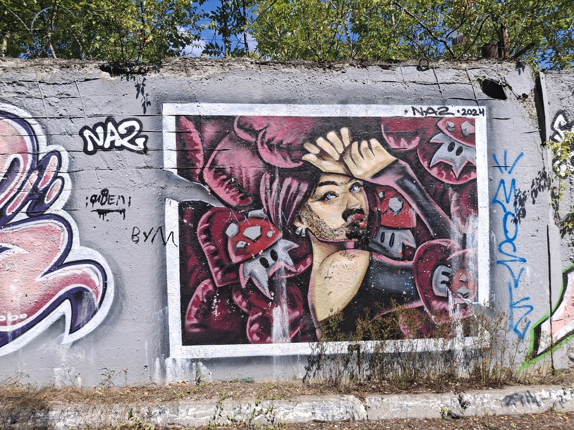 The image depicts a graffiti-covered concrete wall. The central focus is a large mural of a person with pink hair, adorned with red and silver elements. To the left of the mural, there's another graffiti tag that reads "NA2". Above the mural, the tag "NA2 2024" is visible. To the right of the mural, there are blue graffiti markings and a partial green graffiti tag. The wall is located outdoors, with green trees and foliage visible at the top of the image, suggesting an urban or semi-urban environment. Dry grass and debris are present at the base of the wall.