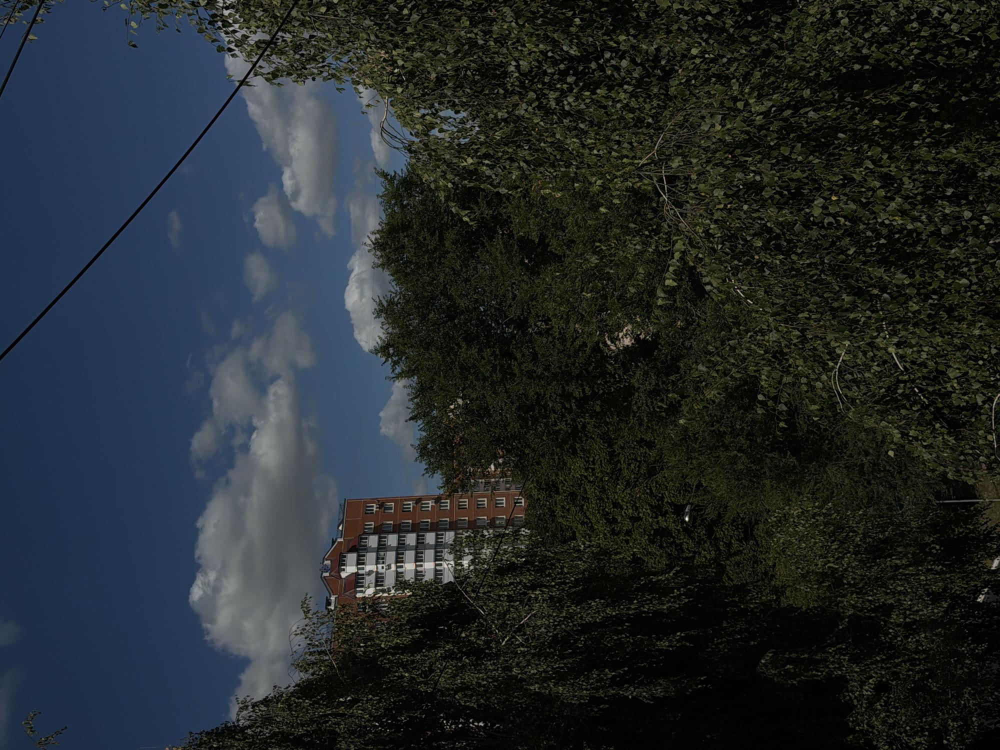 The image depicts a high-rise apartment building in the city of Domodedovo, Russia, partially obscured by dense green foliage. The building, which appears to be constructed with orange brick and white sections, has numerous windows and air conditioning units. It is set against a backdrop of a bright blue sky dotted with white, fluffy clouds. Overhead, power lines are visible, stretching across the frame. The foreground and midground are dominated by the lush leaves of trees, creating a natural barrier between the viewer and the urban structure. The lighting suggests it is daytime, with sunlight filtering through the leaves. The overall scene conveys a juxtaposition of natural elements and urban development.