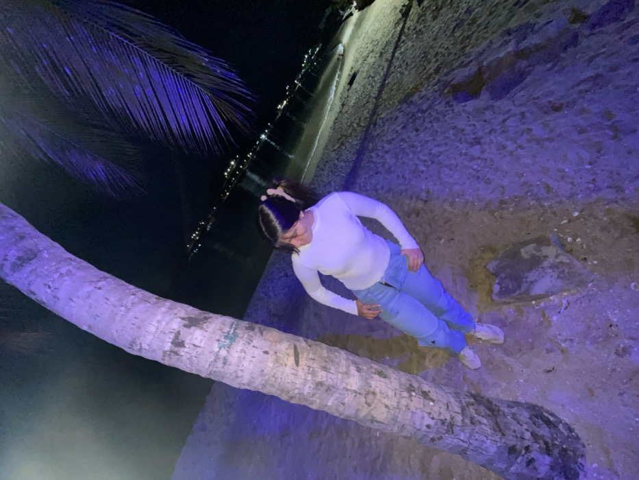 The image captures a nighttime scene on what appears to be a beach or shoreline, illuminated by a strong purple-blue artificial light. The camera angle is tilted, causing the ground and horizon to appear diagonally oriented.
In the foreground, a person is standing on textured ground composed of sand and small stones. The individual is wearing a plain white long-sleeved top, light blue pants with black zipper details on the pockets, and light-colored sneakers. Their dark hair is pulled back into a ponytail, secured with a light-colored scrunchie. The person is looking downwards and slightly to their right, with their hands resting casually by their sides or in their pockets.
A prominent, thick tree trunk, likely from a palm tree, stretches diagonally across the lower and central part of the frame, from the lower-left to the mid-right. Its light-colored, textured bark is clearly visible, also bathed in the purple-blue light. In the upper-left corner, the dark fronds of a palm tree are silhouetted against the night sky, with parts subtly highlighted by the same blue illumination.
The background shows a dark body of water, possibly an ocean or a large bay, reflecting numerous small, bright lights from a distant city or shoreline. These distant lights provide a contrast of warm tones against the cool purple and blue hues dominating the foreground. The overall atmosphere is serene and visually striking due to the unusual lighting conditions.