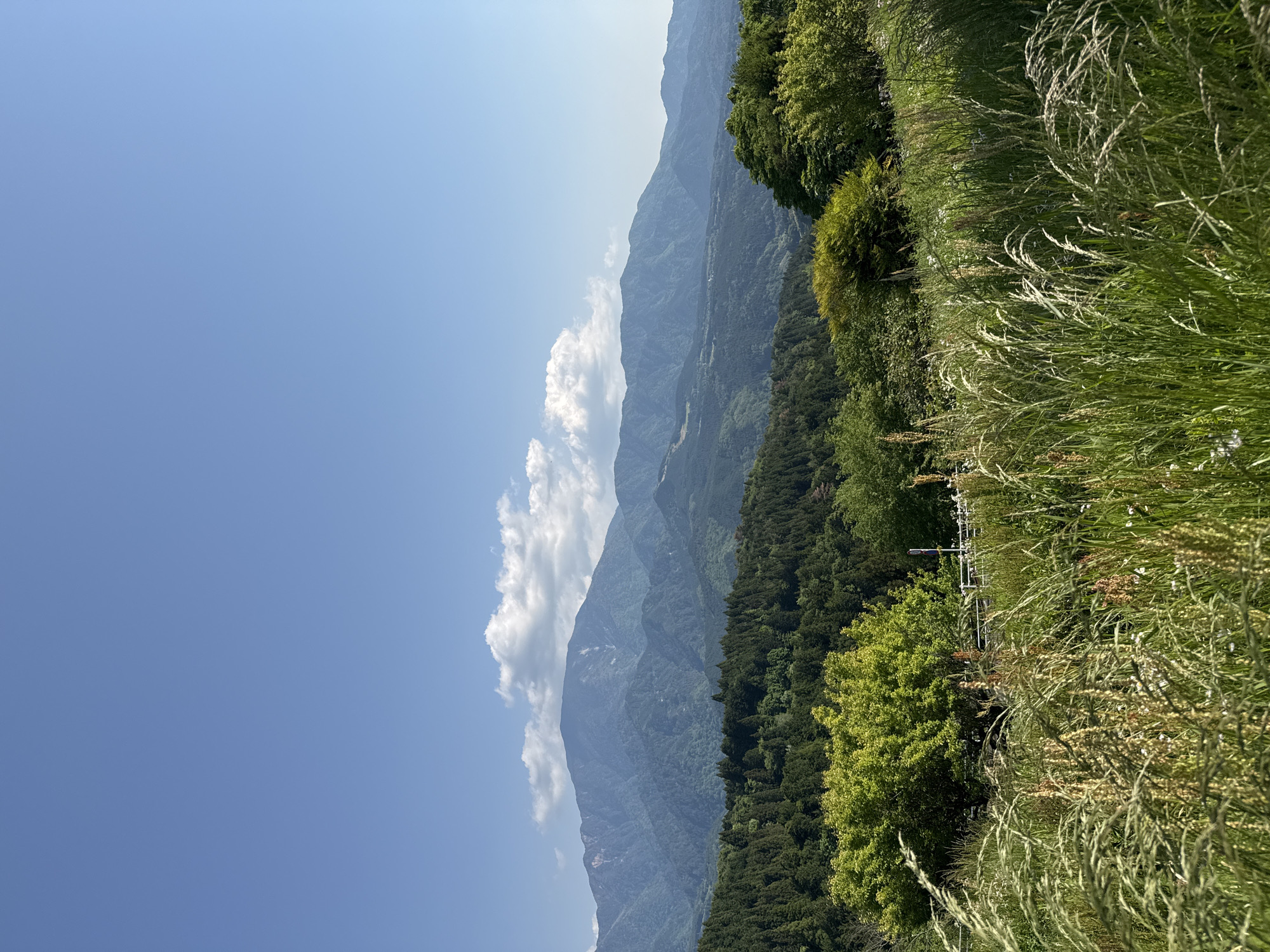 A photograph depicting a mountain range and clear blue sky, with vegetation in the foreground. The mountains are distant and somewhat obscured by haze, with a few clouds. The foreground shows a mix of green trees and tall grass. The image orientation is vertical. The location is Nakatsugawa, Japan.