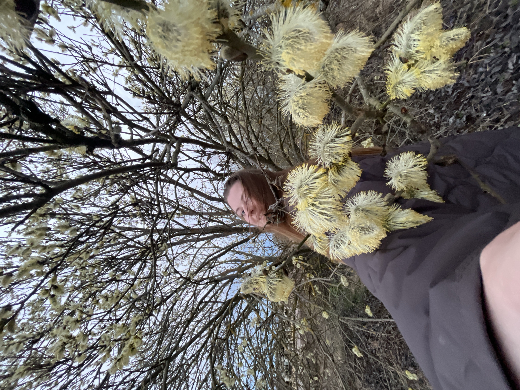 A low-angle medium shot shows a woman outdoors, partially obscured by branches of a tree with fuzzy, yellow-white catkins. The woman, who appears to be the photographer, has long brown hair and is wearing a dark brown jacket. Her face is visible between the branches and catkins, and she is looking slightly downward. The tree branches fill much of the frame, creating an intricate network against a cloudy, pale blue sky. The location is Razdol'e, Russia.