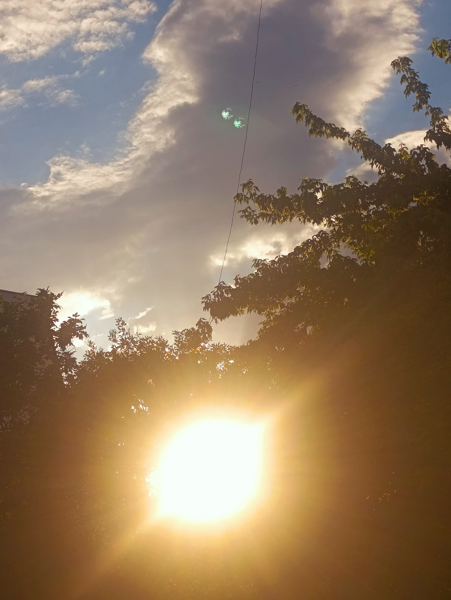 The image captures a sunburst effect with the sun prominently displayed in the lower right quadrant, casting a bright, warm glow over the scene. Silhouetted against the bright light are the tops of trees and foliage, suggesting an outdoor, possibly park or garden setting. In the upper portion of the image, a blue sky is visible, partially obscured by white and grey clouds. A thin, dark wire or string is stretched diagonally across the sky, and there are faint reflections of the sun on it. To the far left, a portion of a building's facade is visible, also in silhouette. The overall atmosphere is one of a bright, possibly late afternoon or early evening sky, with the sun being the primary focal point. There is no indication of the city of Kardzhali, Bulgaria within the image itself.