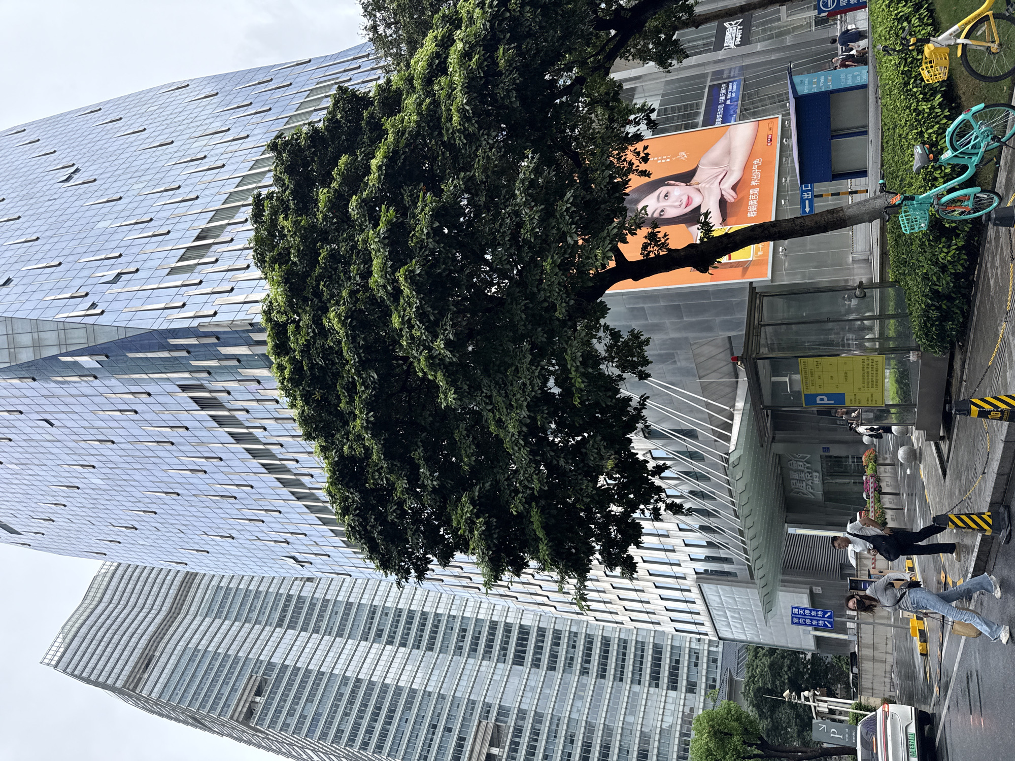 The image captures a street scene in Tianhe District, China, dominated by modern architecture. Two towering glass-facade skyscrapers frame the view, with one on the left featuring a more textured, layered design and the one on the right displaying a sleek, angular facade with numerous vertical window elements. A large tree with dense green foliage partially obscures the lower portion of the right skyscraper. An illuminated billboard featuring a woman's face is mounted on the right skyscraper. In the foreground, a street with wet pavement, likely from rain, shows pedestrian activity. Two people are crossing the street: a woman in a grey top and blue jeans, wearing a face mask, and a man in a white t-shirt and dark pants. A white car with a visible license plate (E E8711) is parked on the left side of the street. Several yellow and black striped bollards mark the edge of the sidewalk. A glass-covered bus stop or information booth is present on the sidewalk, with signage in Chinese characters. Two bicycles, one teal and one yellow, are parked on the right side of the image. The sky is overcast.