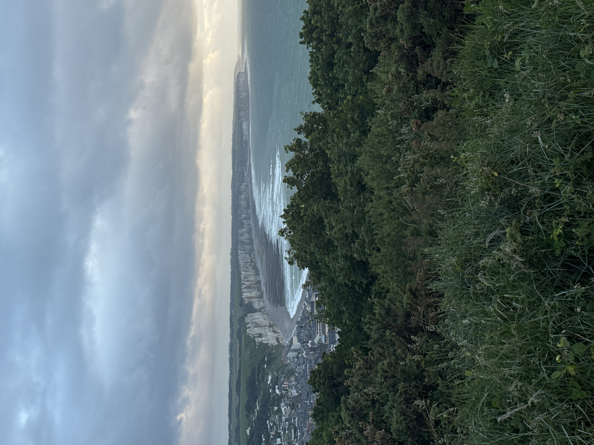 The image presents a wide, elevated view of a coastal landscape, likely Fécamp, France, overlooking the English Channel. In the foreground, dense green foliage, including trees, shrubs, and tall grasses, occupies the right side of the frame, indicating the viewpoint from a high cliff or hill.
The midground reveals a coastal town, characterized by numerous buildings tightly packed along a shoreline. Adjacent to the town is a beach, possibly pebbly, where white-crested waves break and roll onto the shore, reflecting the light. Stretching horizontally along the coast, prominent white chalk cliffs, typical of the Alabaster Coast, dramatically frame the coastline and separate the land from the sea.
Beyond the cliffs and beach, the expansive blue-green waters of the English Channel extend towards the horizon. The sky above is partially overcast with shades of grey and blue clouds, but a brighter patch of sunlight breaks through on the right, illuminating a section of the sea and creating a shimmering effect on the water. The overall lighting suggests either an early morning or late afternoon scene.
There are no visible people or discernible text in the image. The scene captures the rugged beauty of the French coast, highlighting the natural elements of the cliffs and sea, alongside the small coastal settlement.
