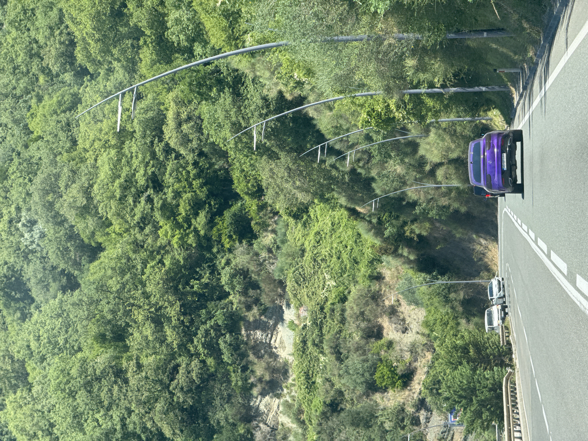 The image captures a sunny day on a winding road in Rafailovići, Montenegro, surrounded by lush green hillsides. In the foreground, a bright purple car is traveling away from the camera on the right lane of a paved road. White lane markings divide the road. To the left of the purple car, a black car is also visible, slightly ahead and in the left lane. Further ahead on the left side of the road, two white vehicles, possibly vans or small trucks, are parked or stopped. The roadside is lined with modern, tall streetlights with multiple lamps. The background consists of a dense forest covering the steep slopes of the hills. The terrain appears rocky in some areas, with sparse vegetation growing on the slopes.