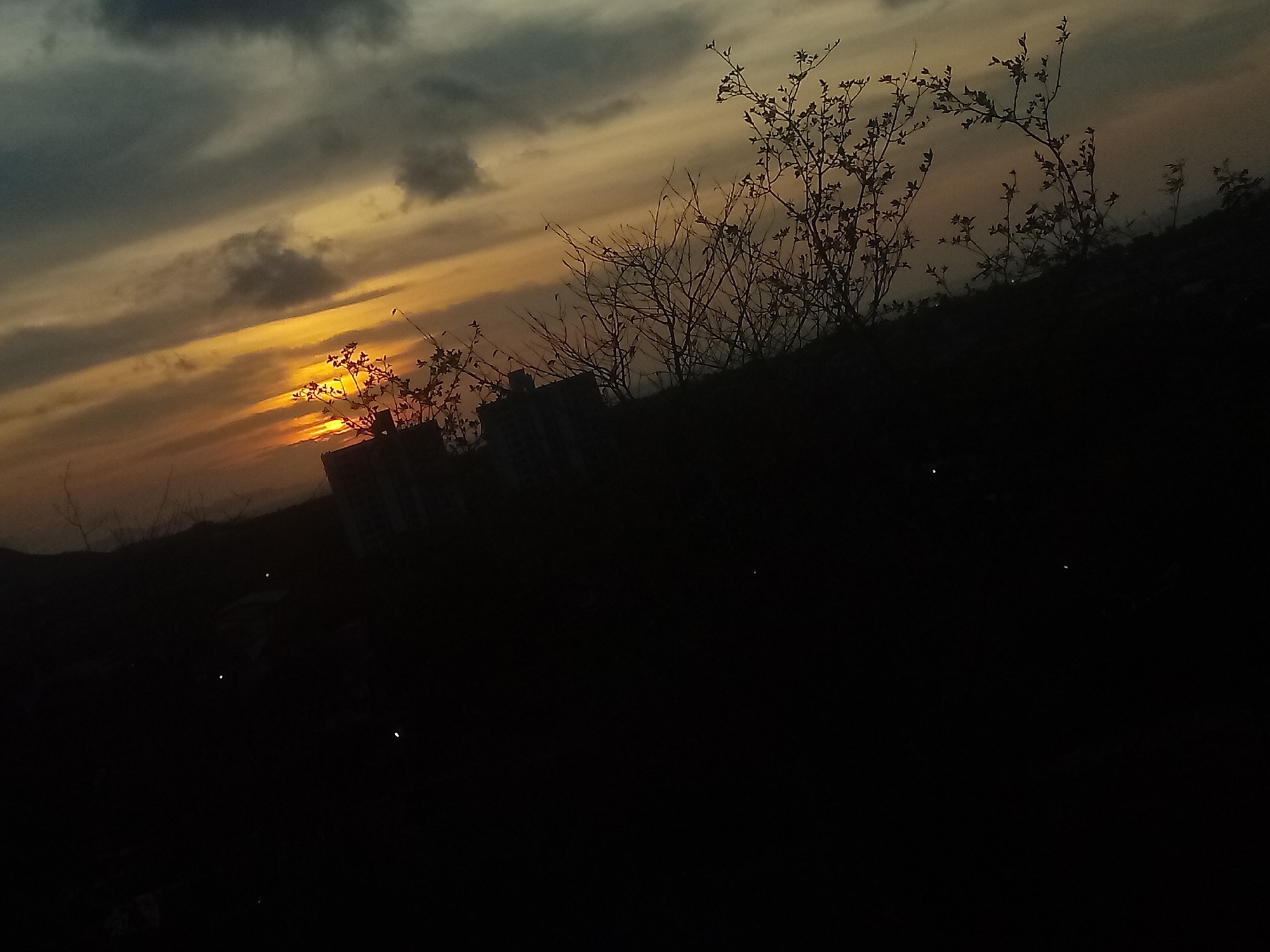 The image shows a low-angle view of a sunset in Juan Griego, Venezuela. The sky is filled with clouds and vibrant colors of yellow and orange near the horizon. Silhouetted against the sunset are trees with bare branches and an indistinguishable building. The foreground is mostly dark, obscuring details of the immediate landscape.