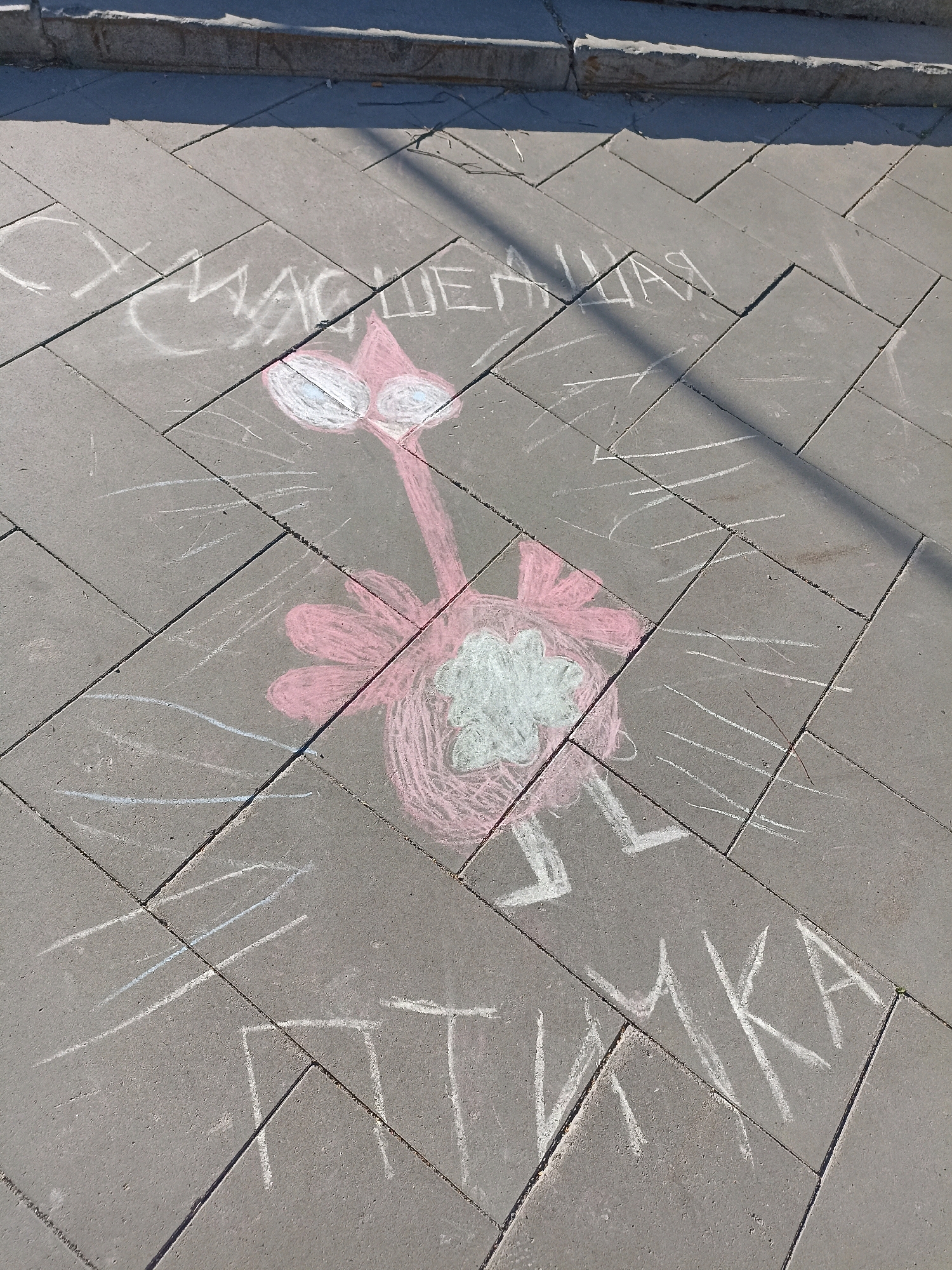 The image shows chalk drawings on a paved surface, likely a sidewalk or pedestrian area, in Novosibirsk, Russia. The drawings include a cartoonish pink bird with large white eyes and a light blue and white floral design on its chest. The bird is rendered in a simplified style, with lines representing wings and legs. Above and to the right of the bird, chalk writing in Russian appears to read "СЧАСТЛИВАЯ" (schastlivaya), meaning "happy". Below and to the right, the writing appears to read "ПТИЧКА" (ptichka), meaning "little bird". The pavement is composed of rectangular grey pavers laid in a staggered pattern. Sunlight casts a shadow diagonally across the scene from the upper left to the lower right, indicating it is daytime. The setting is urban, with a concrete curb visible in the upper portion of the image. There are no people or animals present in the frame.