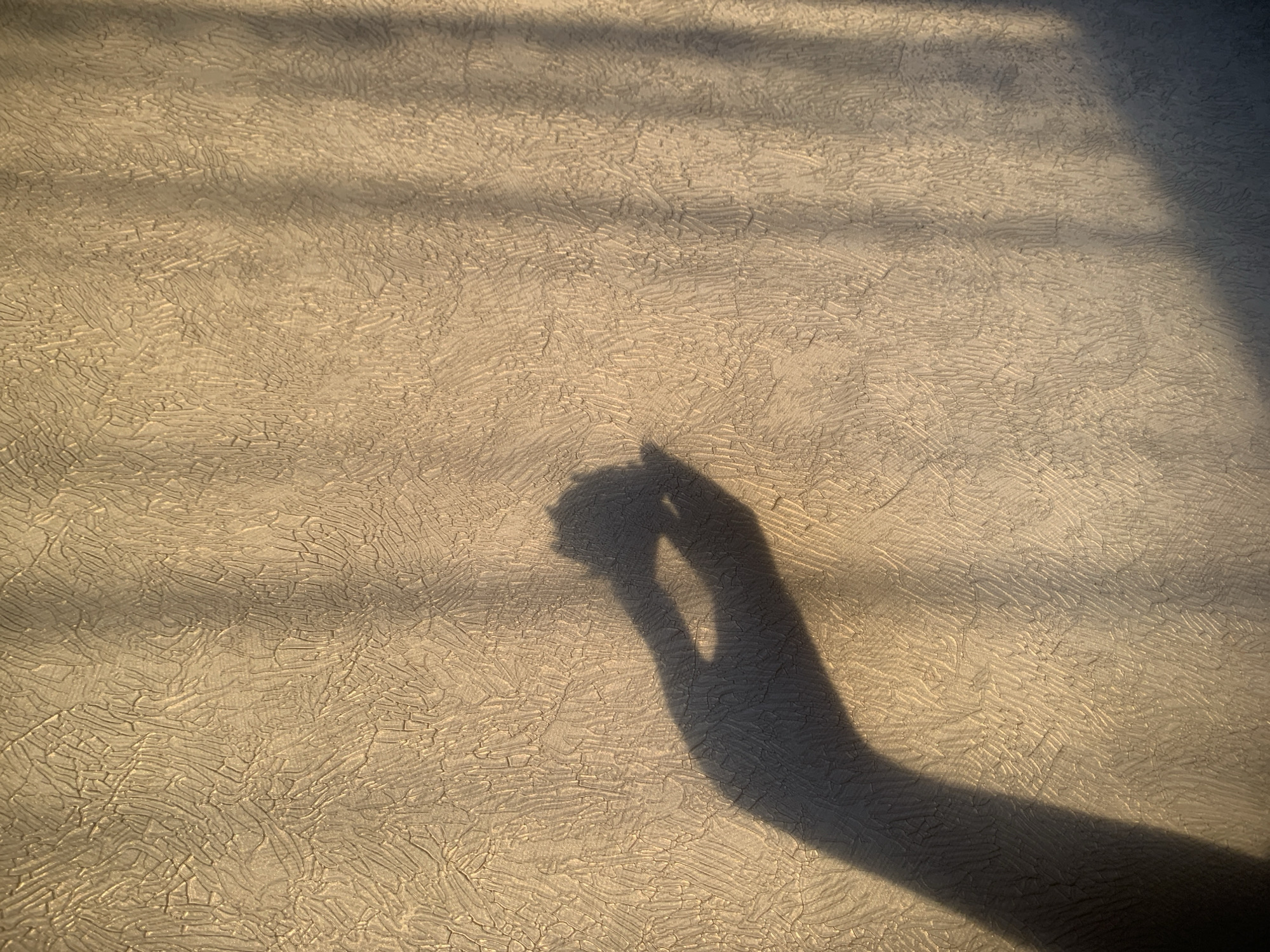 The image shows a shadow of a hand on a textured, light-colored wall. The hand is casting a shadow resembling a person holding a cigarette or pointing. There are also shadows of what appear to be tree branches or window frames on the wall. The location is not discernible from the image. The city is not discernible from the image. There are no people present. There is a wall with a hand's shadow on it, and shadows of tree branches.