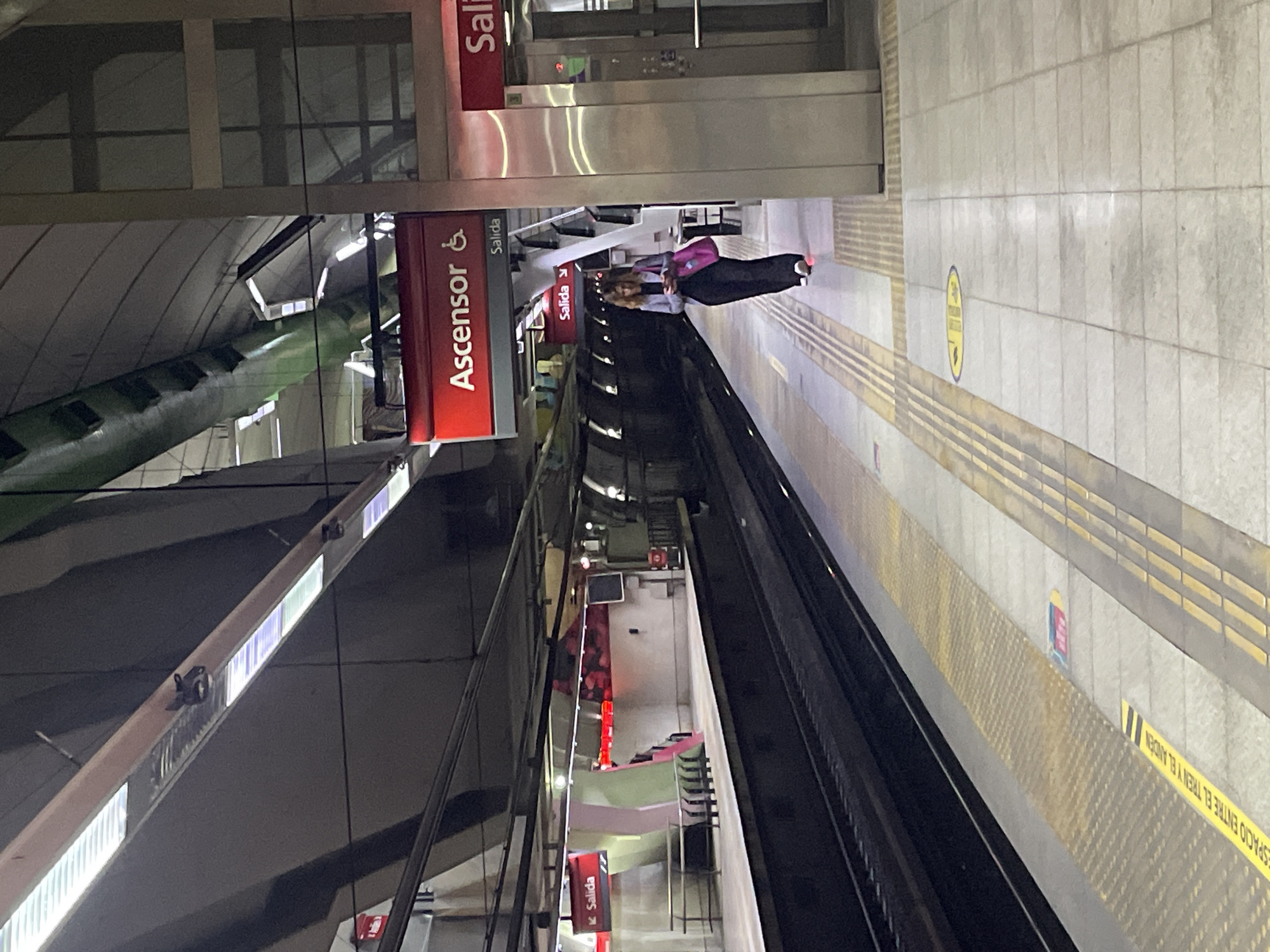 The image captures a scene at a subway station, likely in Buenos Aires, Argentina, given the Spanish signage. A woman is visible on the platform. Various signs are in Spanish. The environment appears to be a typical subway station with metal fixtures, tiled walls, and safety markings on the platform.