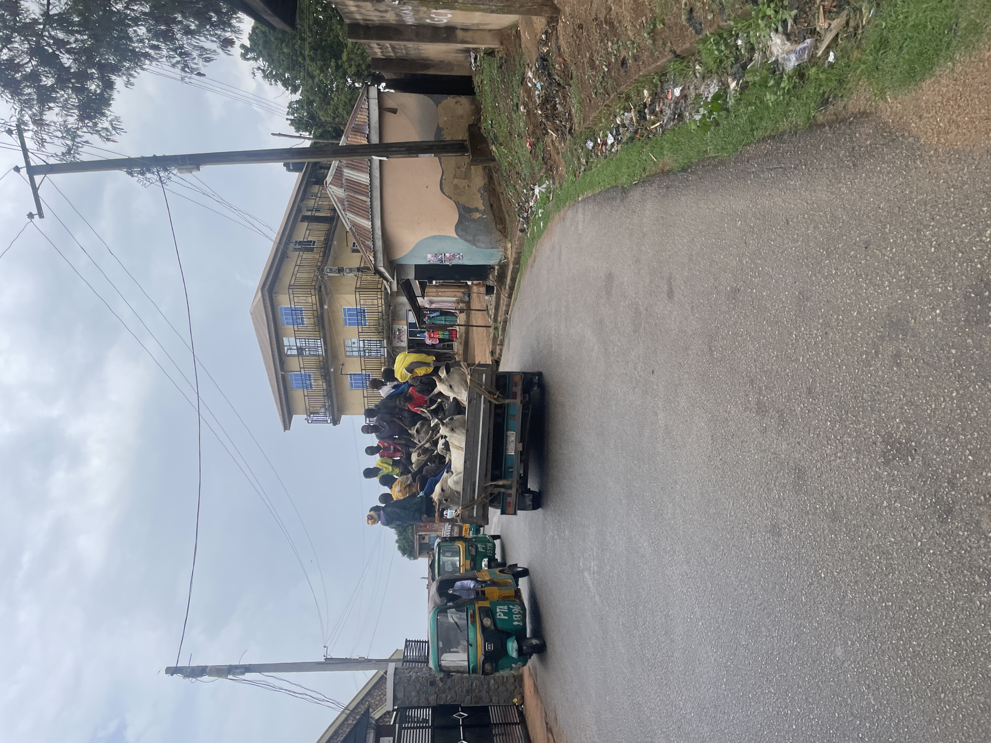 The image depicts a street in Jos, Nigeria. A flatbed truck is heavily loaded with cattle and people. The truck is followed by two green and yellow auto-rickshaws. The street is paved and lined with buildings and utility poles. There is trash alongside the road in some areas. The sky is overcast.