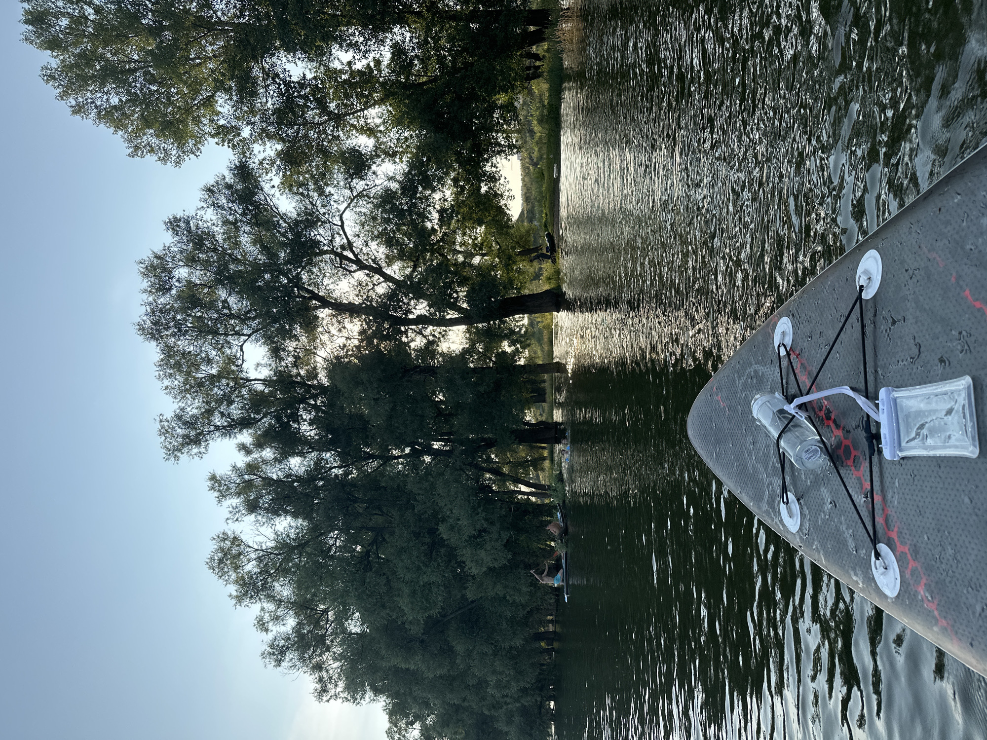 The image depicts a serene scene on a body of water, likely a river or lake, with a paddleboard in the foreground. The paddleboard is equipped with a transparent waterproof pouch and a clear water bottle secured by black elastic cords. In the background, lush green trees line the water's edge, with some appearing to be partially submerged, suggesting a high water level or flooded area. Several individuals are visible in the distance, engaged in recreational activities on the water. One person is on a paddleboard, actively paddling, while another is in a kayak or a similar watercraft. Further in the distance, a few more people appear to be in the water, possibly swimming or wading. The sky is clear with a soft, diffused light, indicating it might be late afternoon or early evening. The water's surface is calm, reflecting the surrounding greenery and the sky, creating a tranquil atmosphere. The overall impression is one of outdoor recreation and peaceful natural beauty. The location is identified as Ufa, Russia.