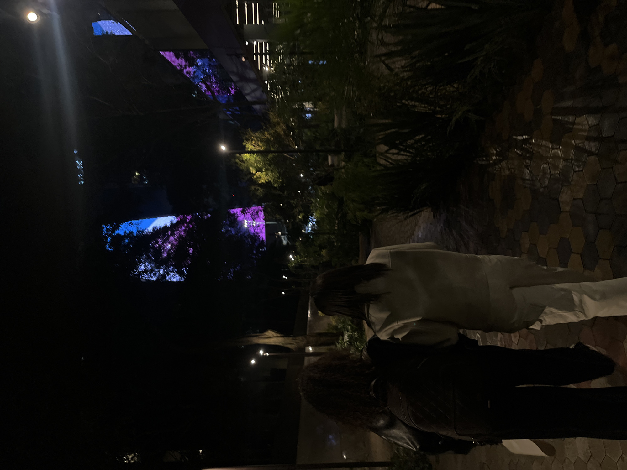 At night in Unknown, Unknown, two people are walking outdoors on a paved walkway. One person, closer to the camera, wears a dark jacket and pants. The other person is wearing a lighter-colored top and pants. In the background are trees and building lights.
