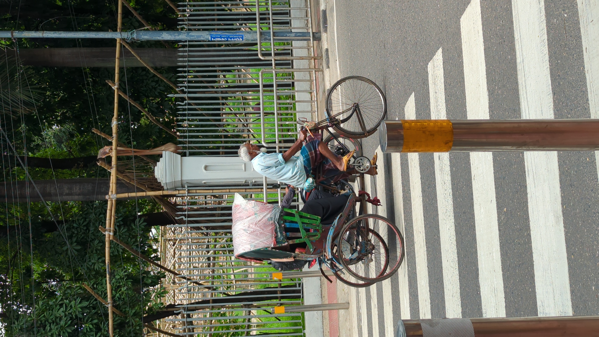 An elderly man wearing a light blue shirt and a lungi (traditional skirt) is pedaling a rickshaw on a street with white and grey crosswalk stripes. The rickshaw has a rear seat covered with a plastic sheet and green accents. The street is bordered by a fence, behind which is green vegetation and bamboo scaffolding. The location is likely Dhaka, Bangladesh, as rickshaws are common there.