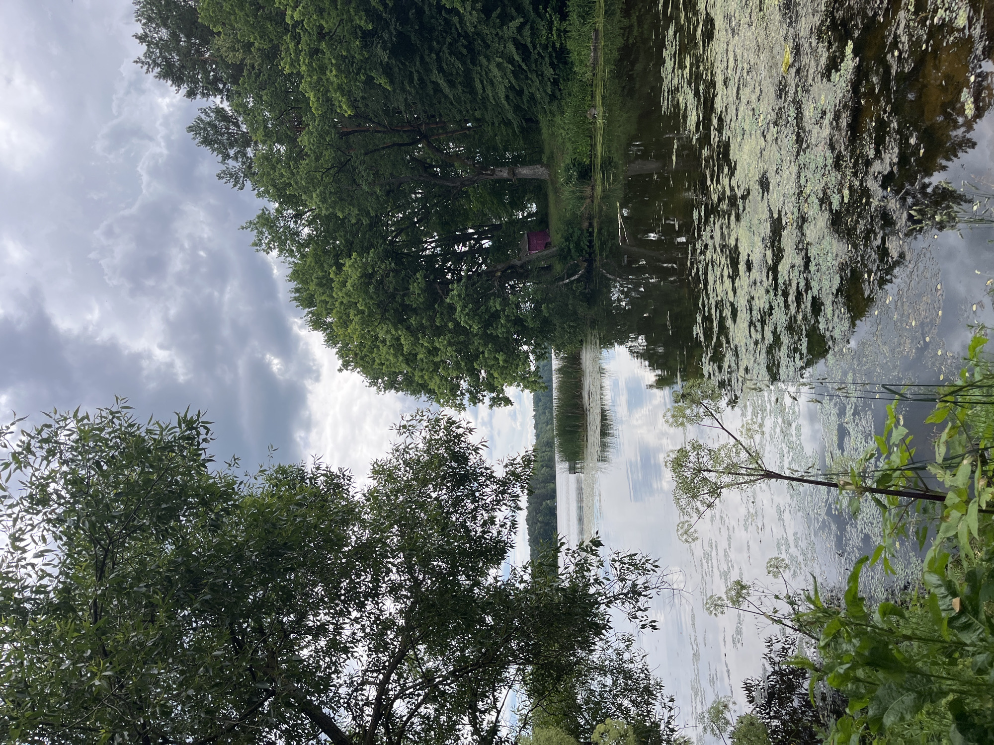 This media file captures a serene natural scene of a lake bordered by lush green trees under a cloudy sky. The image is oriented vertically, with the lake occupying the right side and the trees and sky on the left.
The foreground features the dense foliage of trees, with their branches and leaves creating a dappled effect against the sky. The sky itself is filled with dramatic, dark grey clouds, suggesting an overcast day, possibly hinting at an approaching storm or recent rain.
The lake's surface is partially covered with a greenish-white film, likely algae or duckweed, which creates an interesting texture against the dark, reflective water. The reflections of the trees and the sky are clearly visible on the calmer sections of the lake, adding depth and mirroring the surrounding landscape.
In the mid-ground, more trees line the edge of the lake, with a small, pinkish structure visible nestled amongst the dense foliage, possibly a small shed or a rustic shelter. The distant shore is lined with more trees and tall reeds, creating a sense of depth and expanse.
The overall mood is tranquil and somewhat melancholic, amplified by the cloudy sky and the still water. The scene is characteristic of a natural, uncultivated landscape, likely a rural area given the location context of Вяззеўскі сельскі Савет, Belarus. There is no visible text in the image.