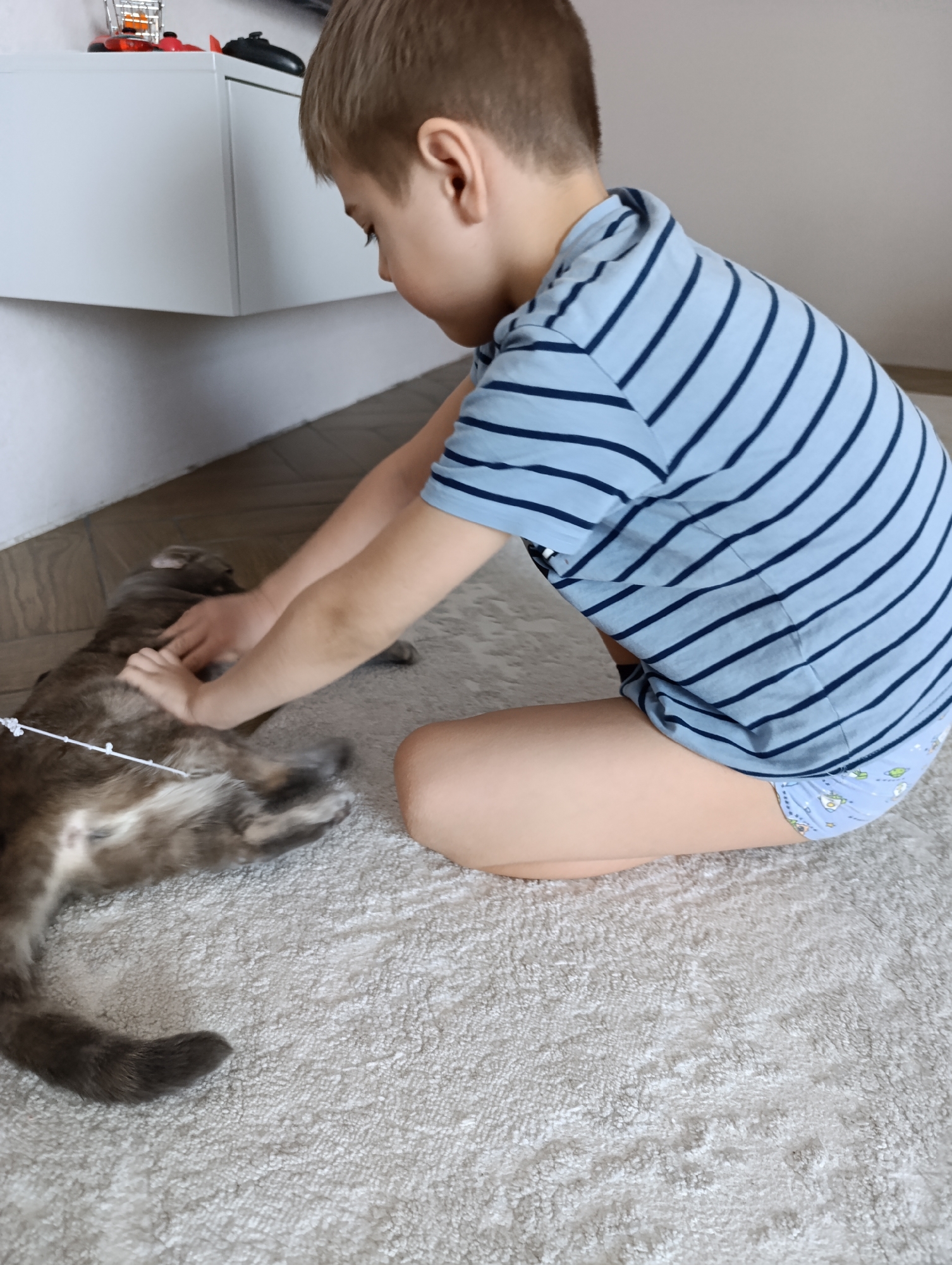 A child with short blonde hair is kneeling on a light gray carpet, facing left and rubbing the belly of a gray cat. The child is wearing a blue and navy striped t-shirt and light blue underwear with a pattern. The cat is lying on its back. The scene appears to be indoors. A white cabinet is visible in the background with small toys or objects on top of it. The location is Chaikovsky, Russia.
