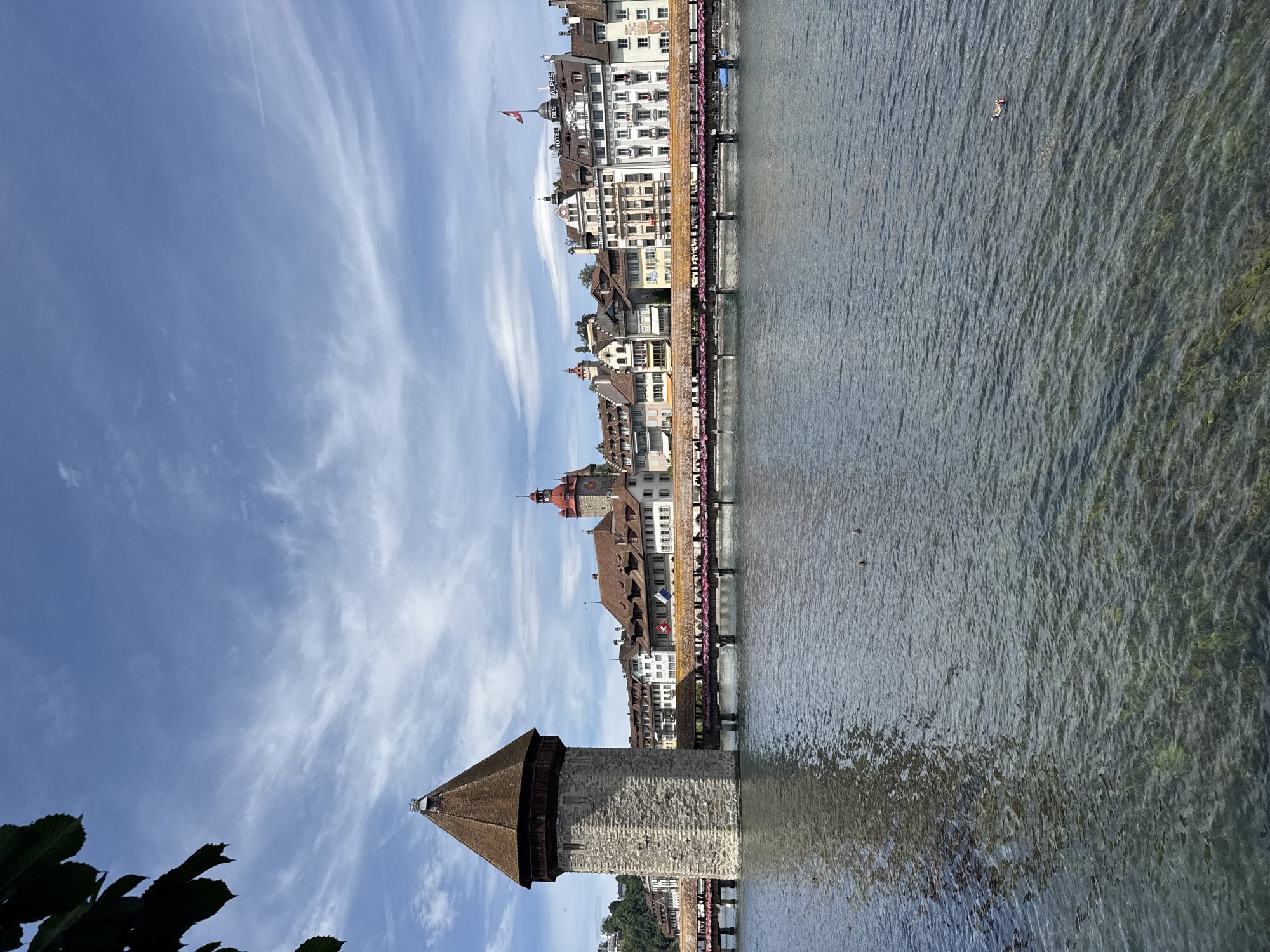 This is a landscape photograph taken from the Reuss River in Lucerne, Switzerland, looking towards the Chapel Bridge (Kapellbrücke) and the Water Tower (Wasserturm).
In the foreground, the Reuss River occupies the lower half of the image. The water is clear, with visible green aquatic plants and submerged rocks beneath the surface. The water's surface is rippled, reflecting the sky and surrounding buildings. There are a few birds on the water, with two ducks visible in the mid-ground on the left, and another small object, possibly a bird or debris, on the right.
Dominating the left side of the frame is the stone Water Tower, a cylindrical structure with a conical, brown tiled roof. The tower stands in the river.
The Chapel Bridge, a covered wooden bridge, extends from the Water Tower across the river. It is adorned with numerous potted pink flowers along its railings. The bridge connects the Water Tower to the cityscape on the right bank of the river.
Behind the bridge, a row of historic buildings lines the riverbank. These buildings are varied in architectural style and color, with prominent red-tiled roofs. Notable structures include a building with a red domed tower and another white building with "HOTEL DES ALPES" signage and a Swiss flag flying from its rooftop. The architecture suggests a well-preserved historic European city.
The sky above is a light blue with scattered white, wispy clouds, indicating fair weather. A few dark green leaves from a tree are visible in the upper left corner, framing the scene. The overall impression is of a sunny day in a picturesque European city.