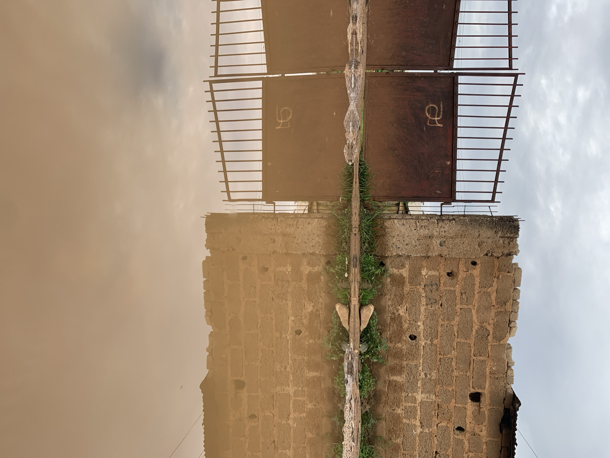 The image depicts an outdoor scene in Rafin Par, Nigeria, dominated by a large, murky brown puddle occupying the entire lower half of the frame. Above the puddle, under a grey, overcast sky, is a section of a perimeter.
On the left, a weathered, double-leaf metal gate, primarily dark reddish-brown with visible rust, stands partially open. The upper sections of the gate consist of vertical metal bars, while the lower sections are solid panels. A roughly drawn, light-colored symbol, resembling a stylized 'a' or an open-ended hourglass, is visible on the right solid panel of the gate.
To the right of the gate, a low wall constructed from rough, light brown concrete blocks extends horizontally. The wall appears old and somewhat damaged, with an uneven top edge where some blocks are missing or broken, and several circular holes are present within the block faces. A small portion of a corrugated metal roof is visible just above and behind the right side of the wall. Sparse green vegetation and a small light-colored rock are visible on the ground directly at the base of the wall and the gate, at the edge of the puddle.
The puddle's calm surface acts as a mirror, creating a clear, inverted reflection of the gate, the wall, the vegetation, and the cloudy sky above. The symbol on the gate is distinctly reflected upside down in the muddy water, appearing as an inverted 'a' or '9'. No individuals, animals, or specific actions are present in the scene.