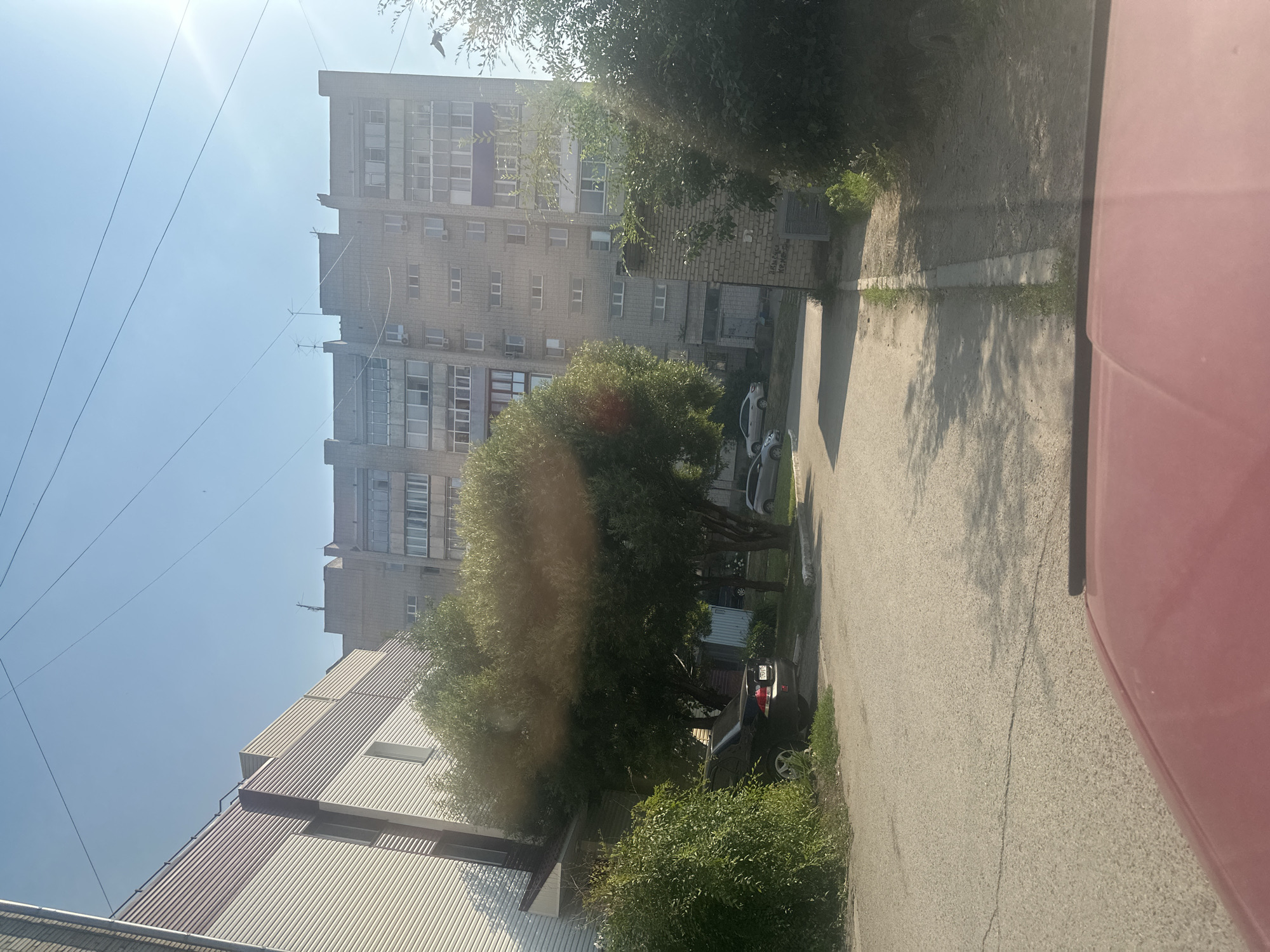 The image captures a street scene in Novoaltaysk, Russia, likely during daylight hours with a clear sky. In the foreground, the hood of a red car is visible. The street is paved with asphalt, showing some cracks, and is partially shaded by trees. To the left, a large, multi-story apartment building with a light-colored, corrugated facade is prominent. Adjacent to it, a smaller building with a darker, possibly brick, facade stands.
Further into the scene, a taller, grey brick apartment building dominates the background, featuring numerous windows and balconies. Several cars are parked on the street and in parking spaces. Trees and green bushes are scattered throughout the area, some obstructing the view of the buildings. Power lines are visible crisscrossing the sky. The overall environment suggests a residential area within a city.