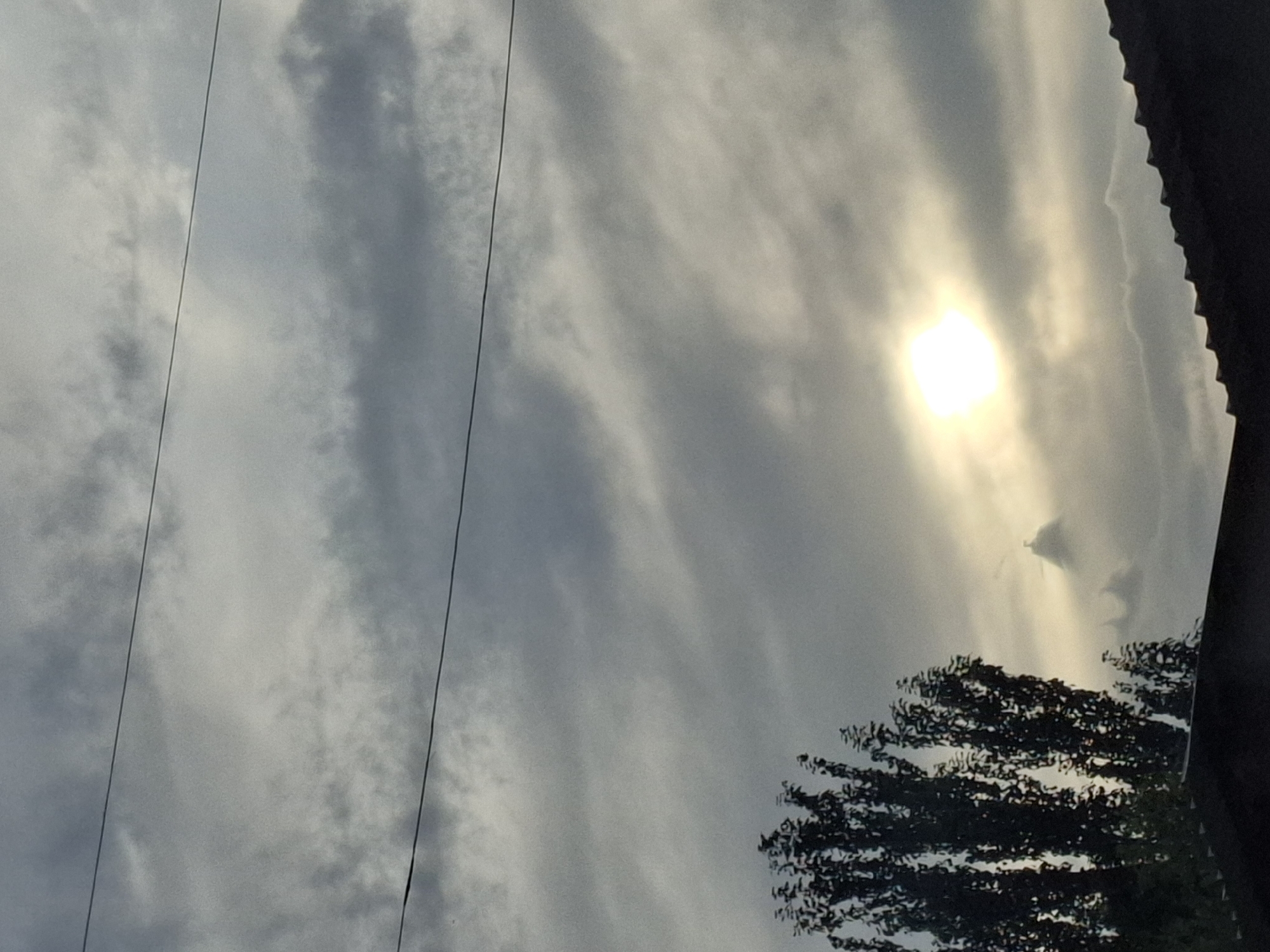 The image captures an overcast sky with the sun appearing as a bright, hazy orb, partially obscured by clouds. Two horizontal power lines stretch across the upper portion of the frame. In the lower left, a dense, dark green tree is silhouetted against the sky, its leaves detailed. The lower edge of the image shows the dark, corrugated roofline of a building, partially obscuring the base of the tree and extending towards the right. In the mid-ground, behind the tree and slightly to the right of center, a misty, cloud-like formation is visible, with a lighter, brighter area that could be a distant structure or a unique cloud pattern illuminated by the sun. The overall lighting suggests a cloudy day, possibly late afternoon or early morning. The location is Jeti-Ögüz, Kyrgyzstan.