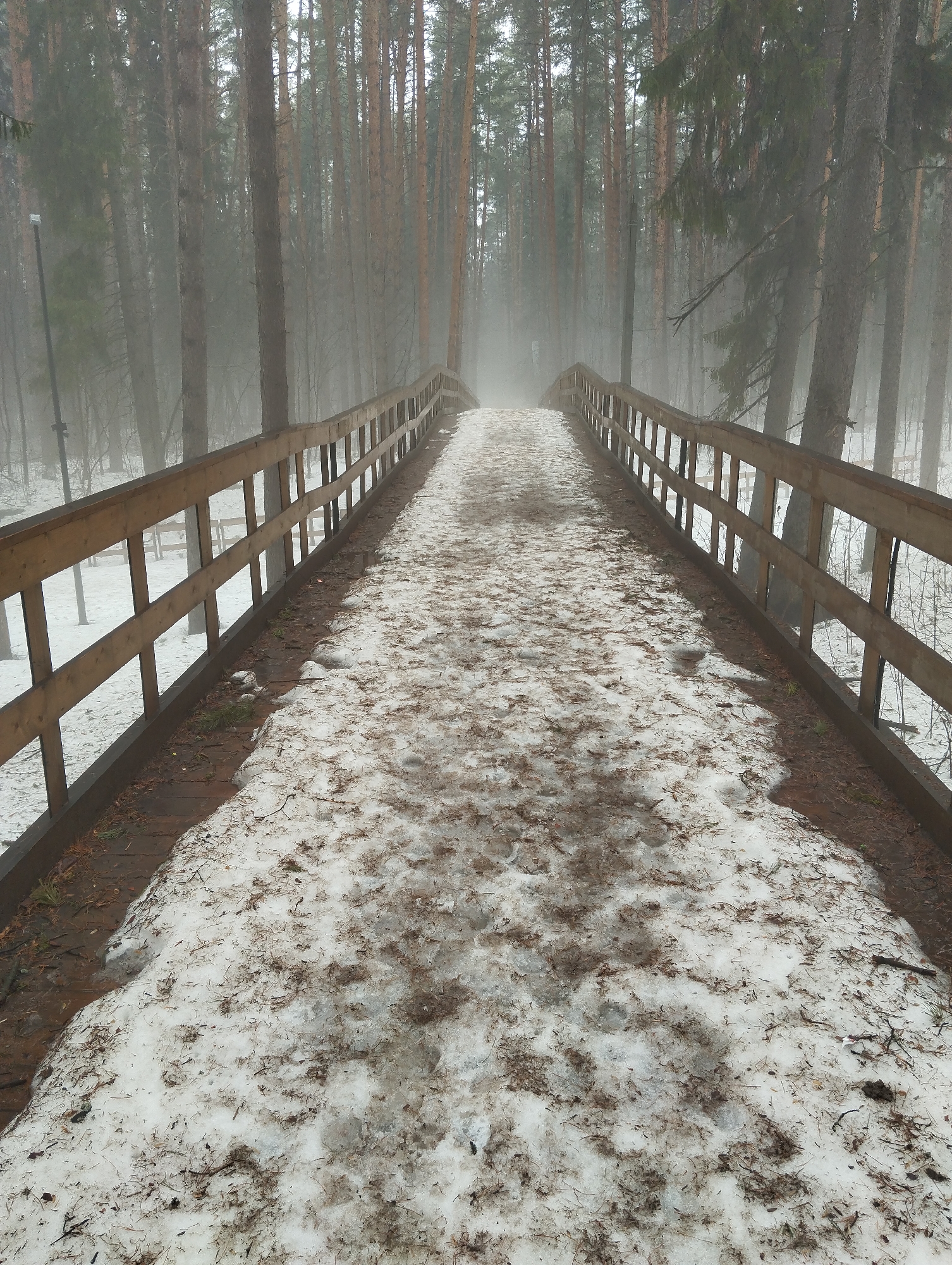The image depicts a wooden bridge in a forest setting, likely in a park. The bridge deck is covered with melting snow mixed with dirt and debris, suggesting a thaw. Wooden railings line both sides of the bridge. Tall pine trees surround the bridge, with dense fog or mist obscuring the background. The scene appears to be located in a park or wooded area within the city of Votkinsk, Russia. There are no visible people or animals in the image.