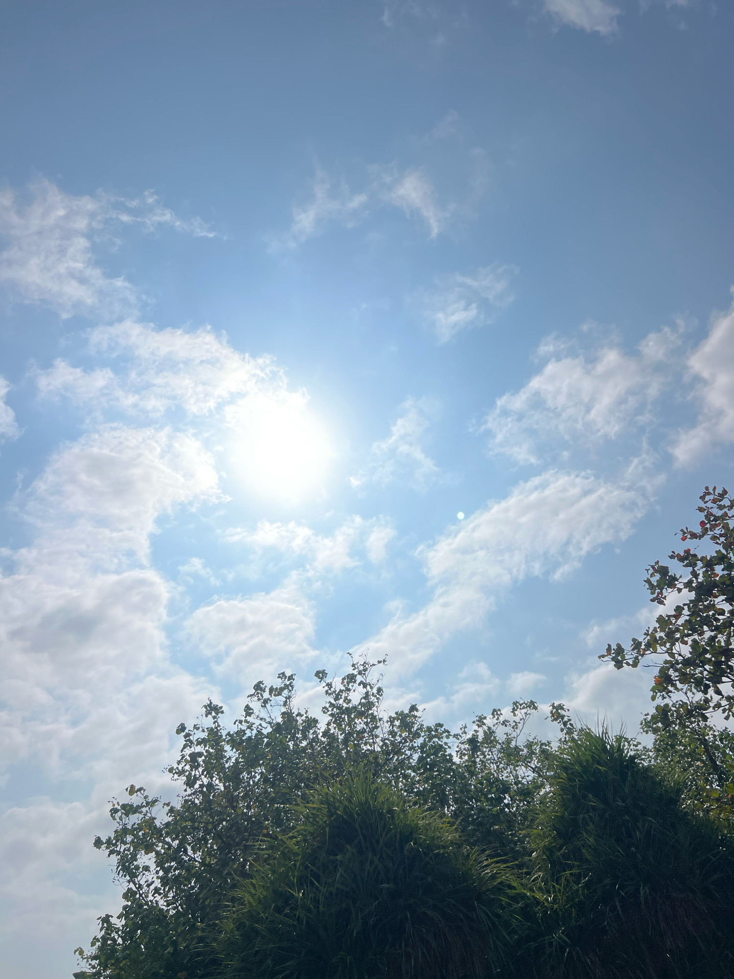The image captures a bright, sunny day in Kuta, Indonesia, with a clear blue sky filled with scattered white clouds. The sun is prominently visible, casting a brilliant light. In the foreground, the tops of lush green trees and tall grass are visible, partially obscuring the sky. The vegetation suggests a tropical environment. The image appears to be a candid shot, focusing on the natural scenery.