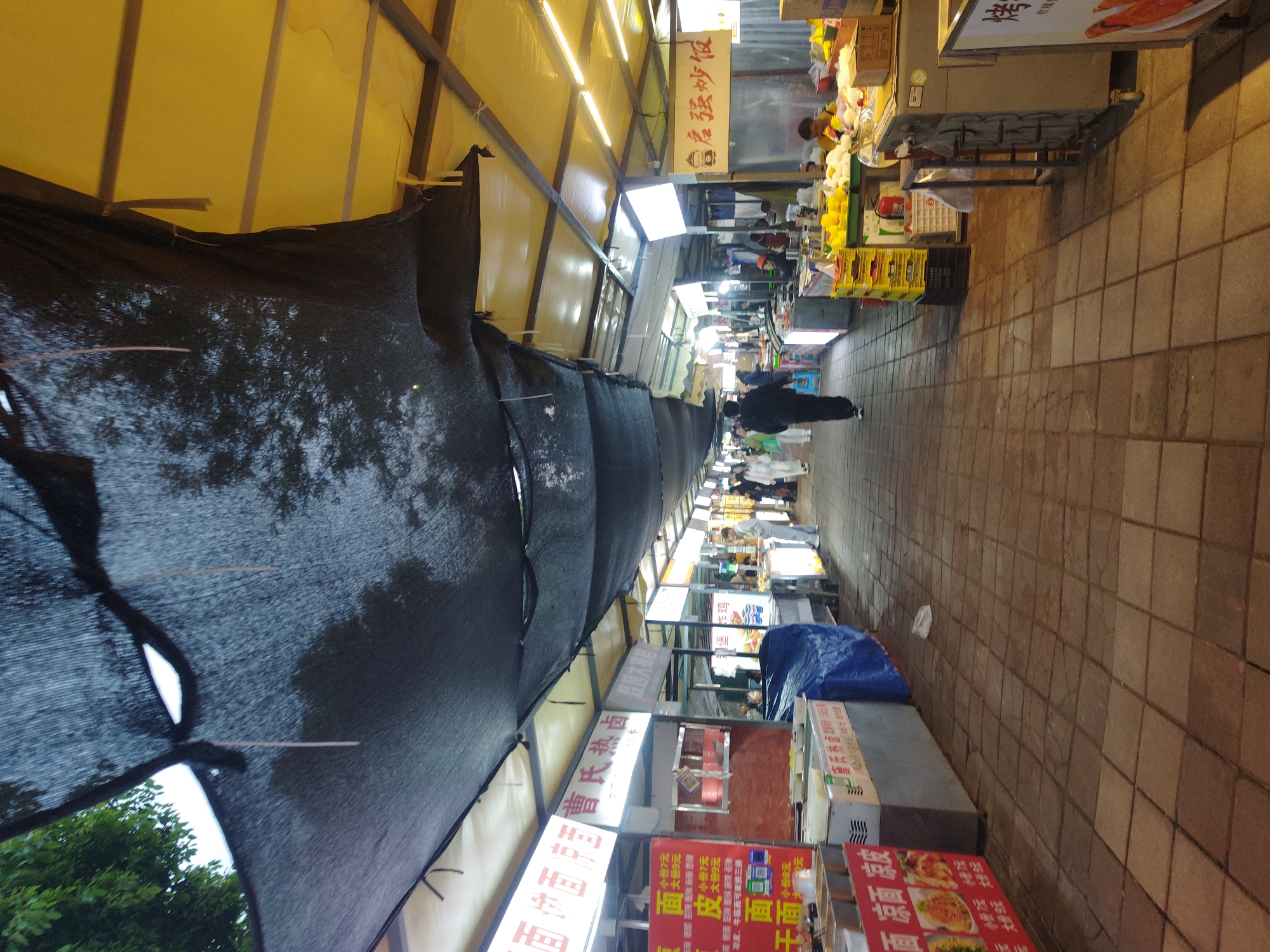Here is a description of the image:
The image shows a street scene, seemingly a food market in Shapingba District, China. The scene is dominated by a covered walkway, with a black mesh-like material providing shade overhead. The lighting is bright, likely from fluorescent lights installed beneath the covered walkway.
On both sides of the walkway, there are various food stalls with illuminated signs in Chinese characters, advertising different dishes like "Fried Rice," noodles, and cold skin noodles. There are also signs indicating prices in Chinese yuan. People are seen walking through the market, some appearing to be customers and others potentially vendors.
The ground is paved with brown tiles, and the overall impression is that of a bustling local market with a focus on street food. A blue tarp-covered stall is visible on the right side.