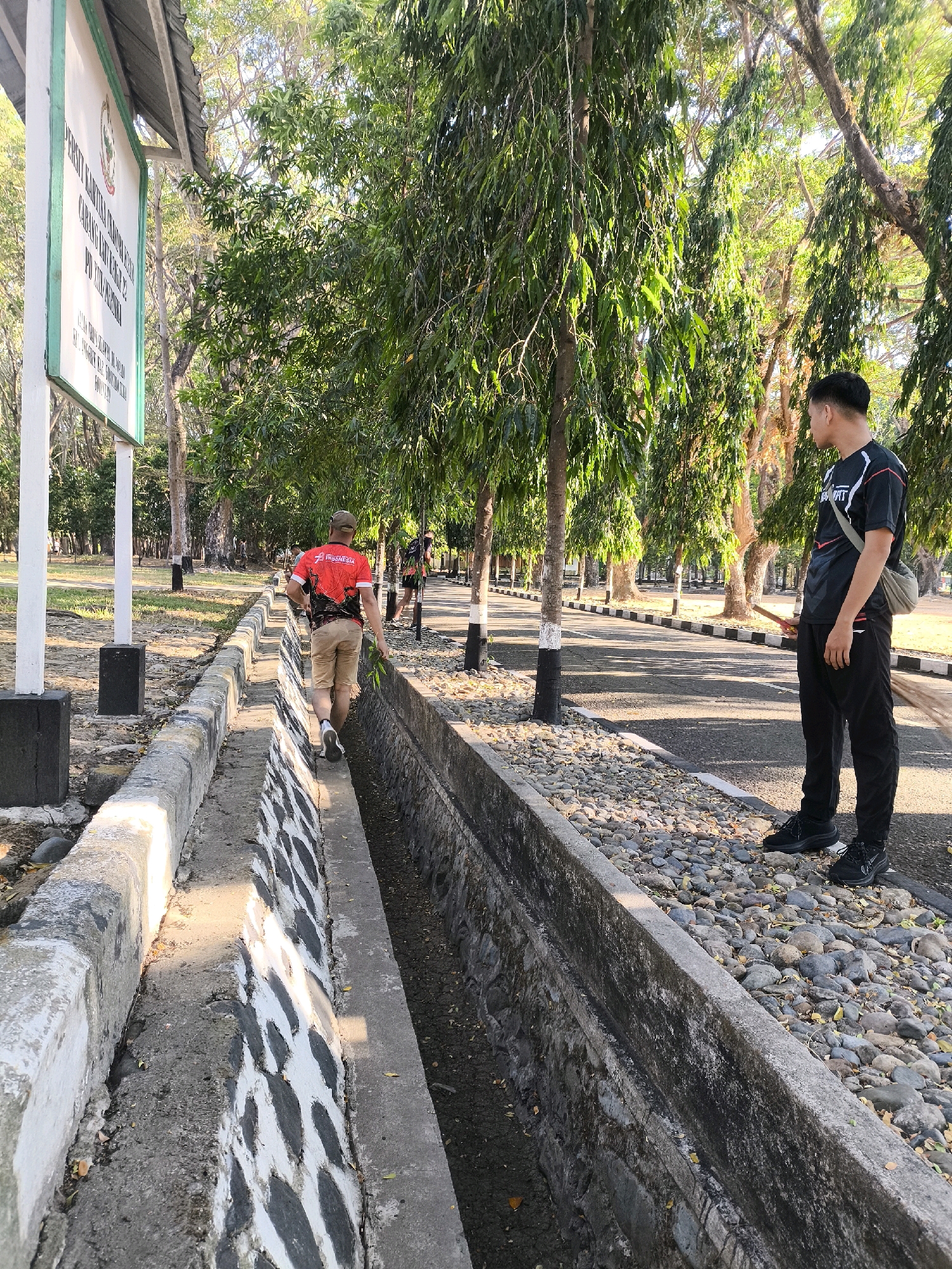 The image depicts an outdoor scene with several people and trees. The location is identified as Unknown, Indonesia, based on the signage.
In the foreground, a man wearing a red t-shirt with a graphic design and tan shorts walks along a concrete drainage ditch. He is carrying some green leaves in his right hand. The ditch has a black and white patterned section on its inner wall. To the right of the ditch, another man stands facing away from the camera, wearing a black t-shirt with white and red accents, black pants, and black shoes. He has a light-colored bag slung over his left shoulder and is holding a broom in his right hand, with the bristles pointing towards the ground.
A sign with white and green trim is visible on the left side of the image. The text on the sign is in Indonesian, and some of it is legible, including "PERUMNAS KANTOR CABANG", "PONDOK KOTA", and "YAYASAN".
The background features a paved road lined with trees. The trees have long, thin leaves and their trunks are painted with black and white rings near the base. The ground is covered with a mixture of gravel and dry leaves. The lighting suggests it is daytime, with sunlight casting shadows. Another person, partially obscured by trees, is visible walking on the road further in the distance. The overall environment appears to be a park or an institutional grounds.