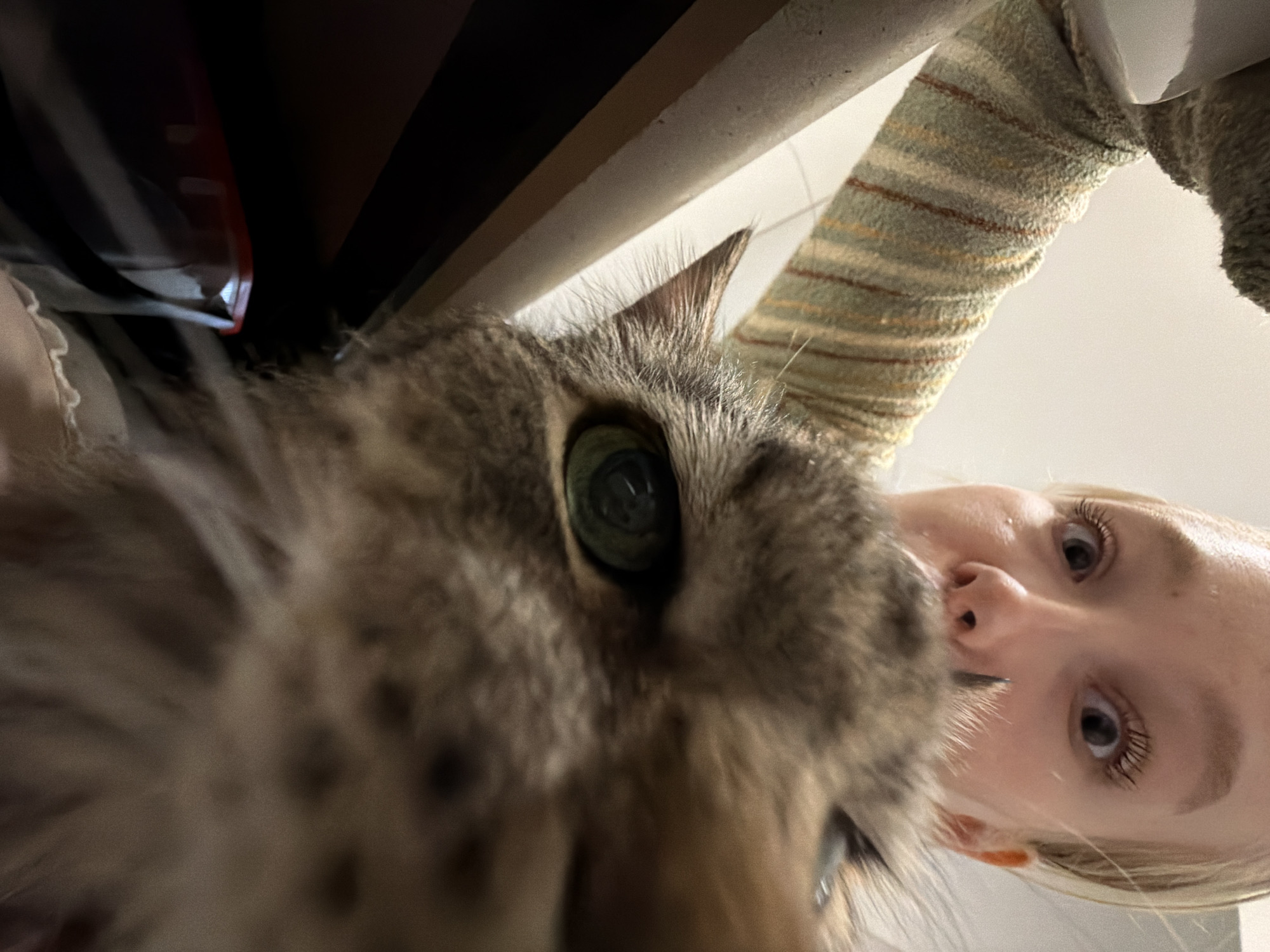 A close-up, low-angle photograph shows a person and a cat. The cat, a brown tabby, is in the foreground with one large eye in focus. Behind the cat is a woman with fair skin, blond hair, and blue eyes. Her nose and eyes are visible. The background is blurry, with what appears to be a shelf or piece of furniture above, and a striped fabric. The location is unknown and there is no indication of the location being Засечное, Russia.