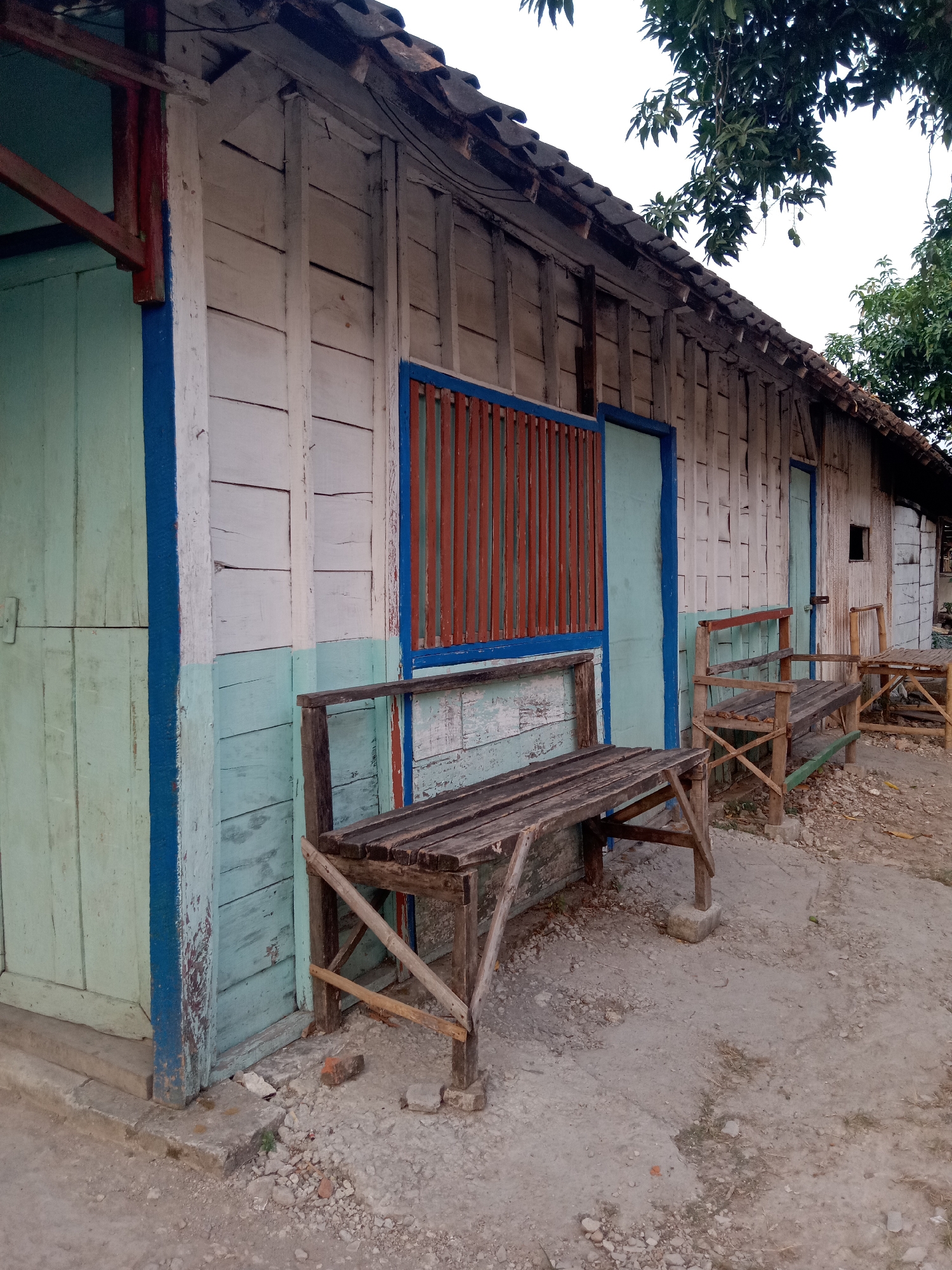 The image shows the exterior of a weathered, wooden building, likely a shop or dwelling, in Sugihwaras, Indonesia. The building features vertical wooden planks painted in sections of white, light blue, and green, with a corrugated tile roof. Blue trim outlines doorways and a window with red slats. In front of the building are two simple, rustic wooden benches and a small wooden table, all showing signs of age and wear. The ground in front of the structure is a mix of dirt, gravel, and small stones. Lush green trees with visible fruit, possibly mangoes, overhang the roof on the right side of the image. The scene appears to be outdoors, with diffused light suggesting it might be late afternoon or early morning. There are no people or animals visible in the image.