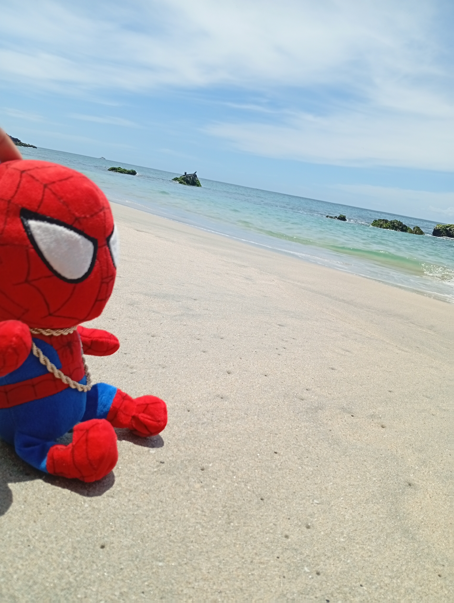 The image features a red and blue Spiderman plushie seated on a sandy beach, facing towards the ocean and horizon. The plushie, with its iconic white eyes and wearing a thin golden-colored chain around its neck, occupies the left foreground of the frame.
The background reveals a serene coastal scene under a bright sky. The light-colored sand of the beach gently slopes towards the calm, light blue-green water of the ocean. Several dark, moss-covered rocks are visible within the water, some closer to the shore and others further out. A small, dark bird is perched on one of the more distant rocks. The horizon line is clearly defined, separating the ocean from a mostly clear blue sky adorned with thin, wispy white clouds.
The scene is well-lit by bright daylight, suggesting it is a sunny day, likely morning or early afternoon. The texture of the fine sand is visible in detail. A human hand or finger is partially visible at the very top left edge of the frame, possibly positioning the plushie for the shot. The overall setting depicts a peaceful beach environment, consistent with a coastal location like Pedro González, Venezuela. No text is visible in the image.