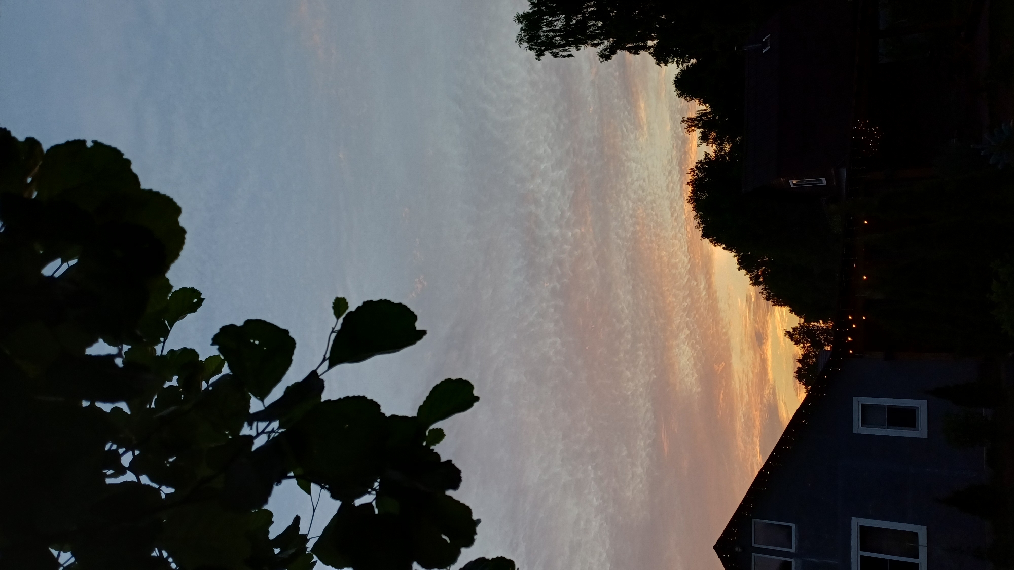 This is a photograph taken at dusk in Timokhovo, Russia. In the foreground, silhouetted tree branches with leaves hang from the top left corner, obscuring part of the sky. The sky itself is a gradient of pale blue at the top, transitioning to soft pinks and oranges near the horizon, with wispy, patterned clouds.
Below the sky, in the middle ground and background, are the dark silhouettes of houses and trees. To the left, the roofline and windows of a grey house are visible. To the right, a dark-colored house with a peaked roof is partially visible, with string lights illuminating an area below. A dense line of trees forms a dark backdrop behind the houses, with some taller trees on the far right. The overall scene depicts a peaceful, twilight atmosphere in a rural or suburban setting.