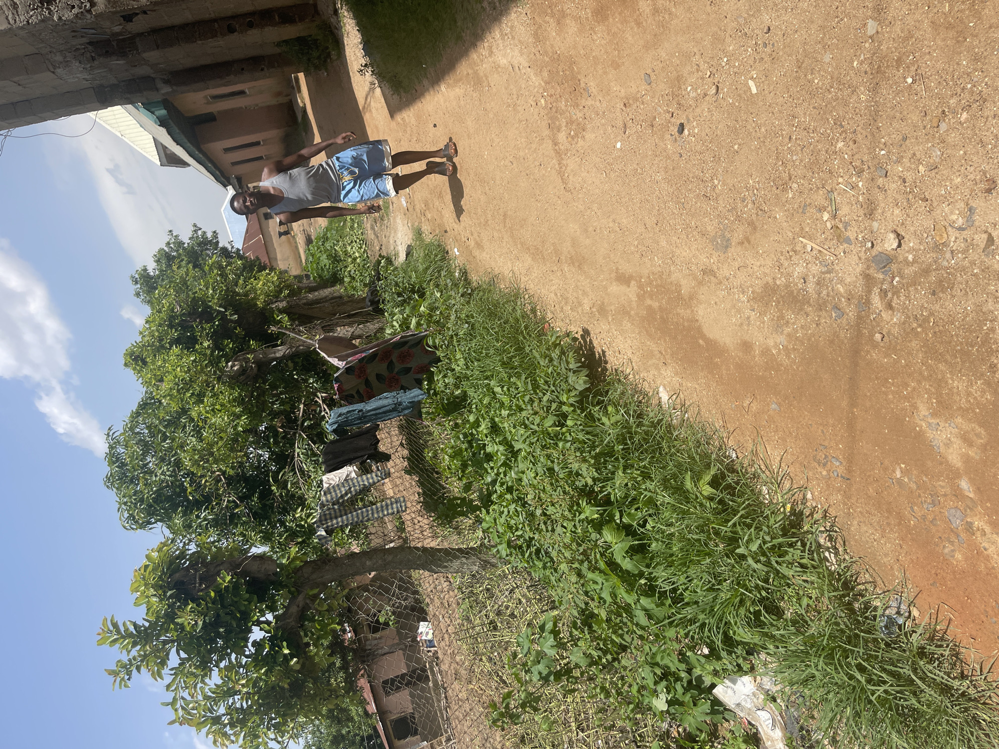 A man stands in what appears to be a courtyard or outdoor living space. He is wearing a grey tank top and blue shorts. The ground is a mix of dirt and some gravel. To the left of the man, there is a large green tree with dense foliage. Behind the tree and to the left is a building with a beige-colored facade. Hanging on a fence in front of the tree are several items of clothing, suggesting laundry is being dried. The sky is blue with scattered white clouds. The overall impression is a sunny day in a rural or semi-rural setting. The man's posture is relaxed, and he appears to be looking towards the camera. There is no visible text in the image. The scene suggests a typical day in Jos, Nigeria, with its characteristic landscape and climate. The presence of the tree and the open space indicates an outdoor environment. The clothing on the fence is a common sight in many communities. The man's attire is suitable for warm weather.