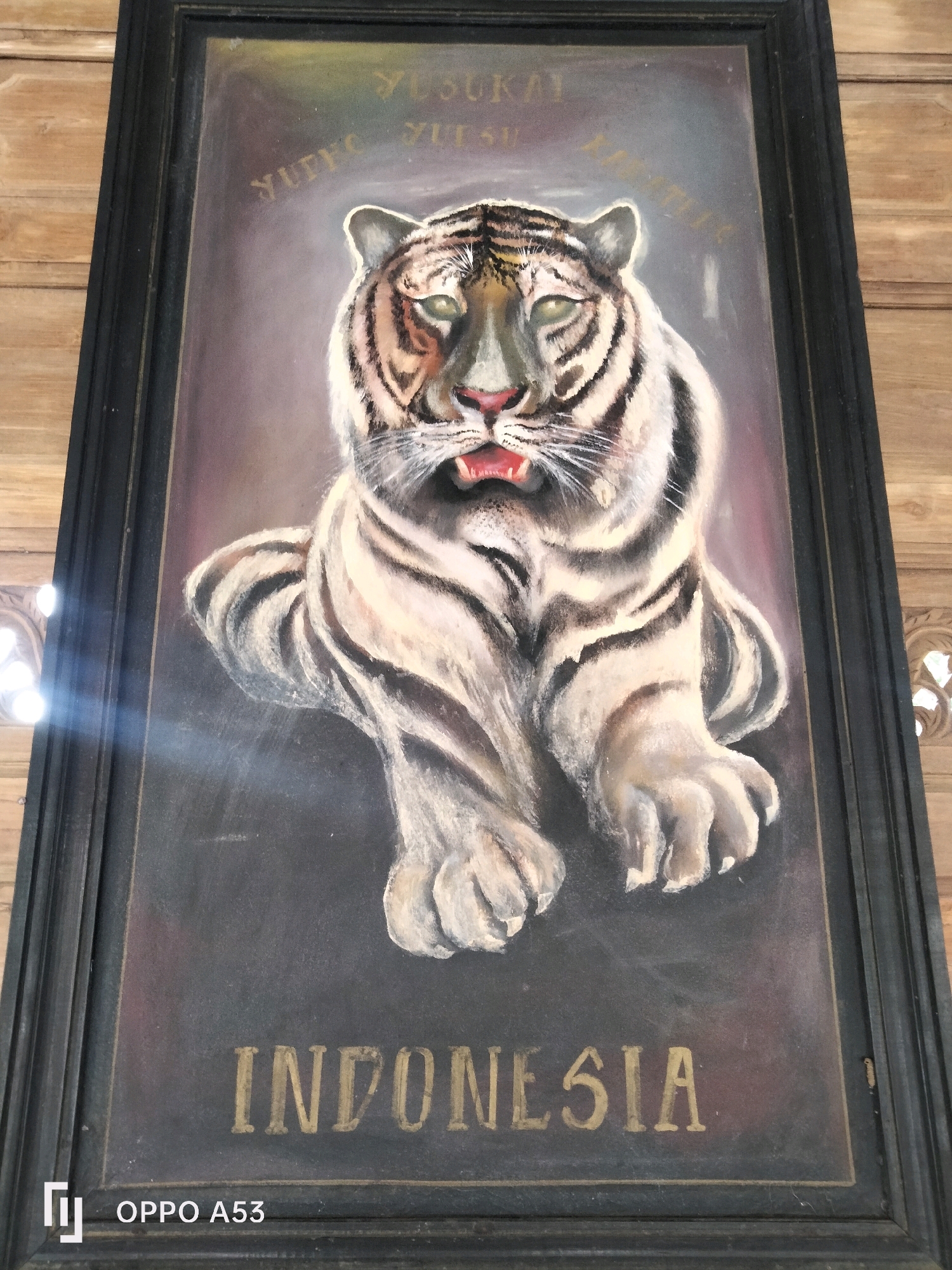 A framed painting of a white tiger with black stripes is the main subject of the image. The tiger is depicted in a seated position, with its mouth slightly open and fangs exposed. Its eyes are a striking green. Above the tiger's head, curved golden lettering reads "YUSUKAY YUTS..." The word "INDONESIA" is written in large golden letters at the bottom of the painting. The painting is framed by a thick, dark border and appears to be hanging against a wooden paneled wall. The lighting suggests an indoor environment, possibly a museum or a home. The bottom left corner of the image shows the logo "OPPO A53".
