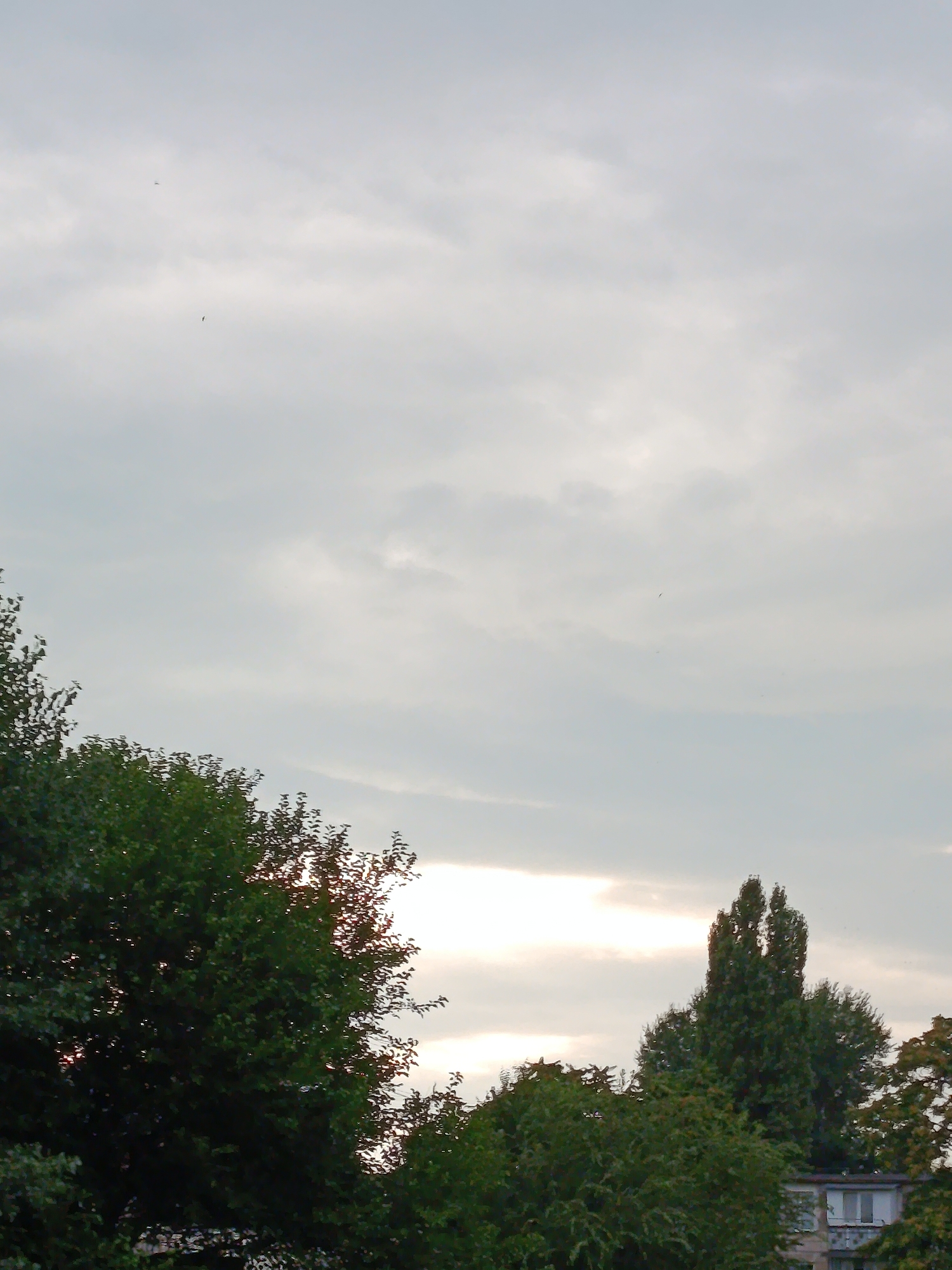 The image depicts an outdoor scene with a cloudy sky dominating the upper portion. The lower half of the image is filled with the tops of various trees, some appearing lush and green, while others are more sparse. A building with windows and a tiled roof is partially visible in the lower right corner. The sun is not directly visible, but a bright, diffused light suggests it is either early morning or late afternoon. The clouds are light grey and appear somewhat textured. There are two small, dark shapes in the sky that could be birds in flight. The overall mood is peaceful and natural, with a hint of urban presence from the building. The setting is likely residential or a park in Chișinău, Moldova, given the context.