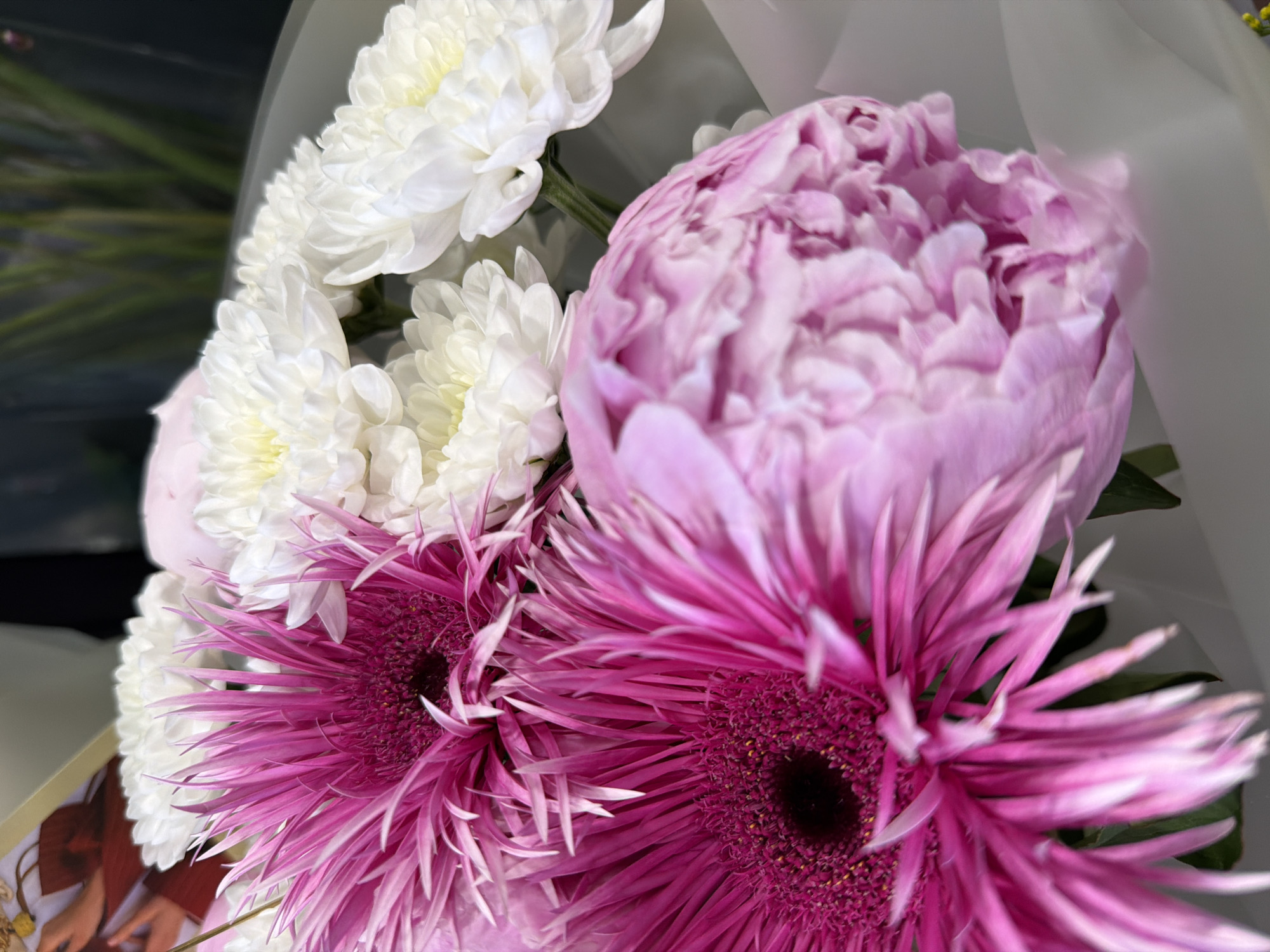 A close-up, overhead shot features a bouquet of vibrant flowers, primarily pink gerbera daisies and white chrysanthemums, arranged with a soft pink peony in the foreground. The flowers are wrapped in translucent white paper, with green leaves visible at the bottom. The background is blurred, showing hints of other floral arrangements and a dark, indistinct area. The scene is well-lit, with the focus sharp on the flower petals and pistils.