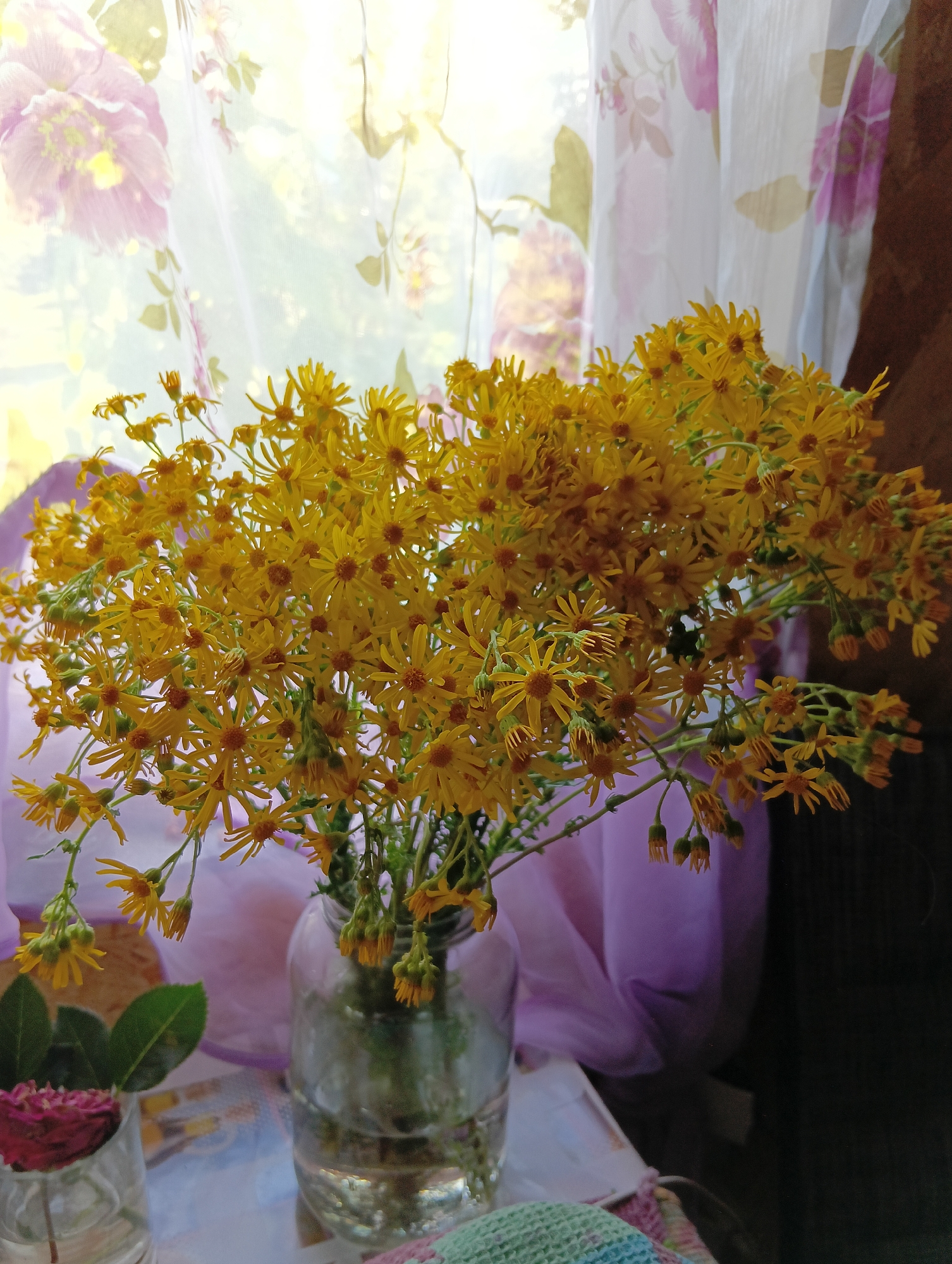 A close-up shot features a bouquet of bright yellow wildflowers in a clear glass jar, situated on a table. The flowers are abundant, with numerous small blooms creating a dense cluster. Behind the flowers, a sheer curtain with a floral pattern, in shades of pink and green, is visible. The curtain is lit from behind, suggesting daylight. The overall setting appears to be indoors, near a window. To the left of the main bouquet, another small glass contains a single deep pink rosebud with green leaves. A hint of a crocheted item, with green, pink, and blue threads, is visible at the bottom of the frame. The lighting and the presence of the flowers suggest a bright, possibly sunny, day. The scene evokes a sense of rustic simplicity and natural beauty. No visible text is present.