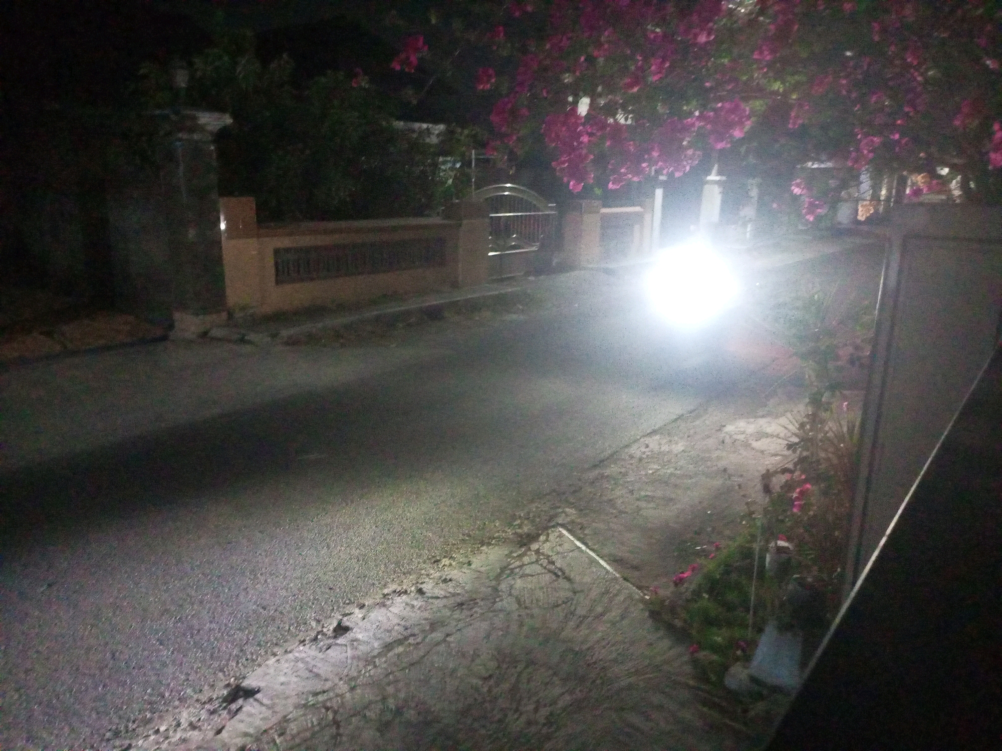 The image depicts a nighttime scene on a paved road in Ngasem, Indonesia. A bright headlight from an approaching vehicle illuminates the road, casting long shadows. To the left of the road is a stone wall with a decorative fence. Further left, lush green foliage and trees are visible. Above the road, a tree with vibrant pink flowers hangs over the scene, its blossoms catching the light. On the right side of the road, a sidewalk with some vegetation and pink flowers runs alongside a dark structure. The overall impression is one of a quiet, possibly residential street at night, with the dominant feature being the intense beam of light from the vehicle.