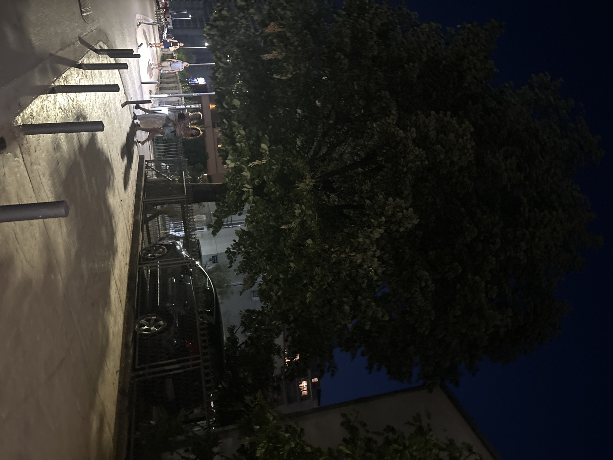 The image captures an outdoor scene at night, likely in Budva, Montenegro. The setting appears to be a street or sidewalk area adjacent to a building with some trees.
In the foreground, several dark, cylindrical bollards are visible along the edge of a pathway, casting long shadows. To the right, a dark-colored car is parked behind a black metal fence. Further back, a large tree with dense foliage dominates the right side of the frame, its branches silhouetted against the night sky.
Several people are visible in the mid-ground, walking along the pathway. One person in a light-colored dress is particularly noticeable. Other individuals appear to be walking or standing further down the path. In the background, buildings with illuminated windows suggest an urban or semi-urban environment.
The time of day is clearly night, indicated by the darkness of the sky and the artificial lighting present. The weather appears clear. There are no discernible location cues beyond the provided context of Budva, Montenegro. The overall mood is subdued, typical of a nighttime urban scene. No visible text is present in the image.