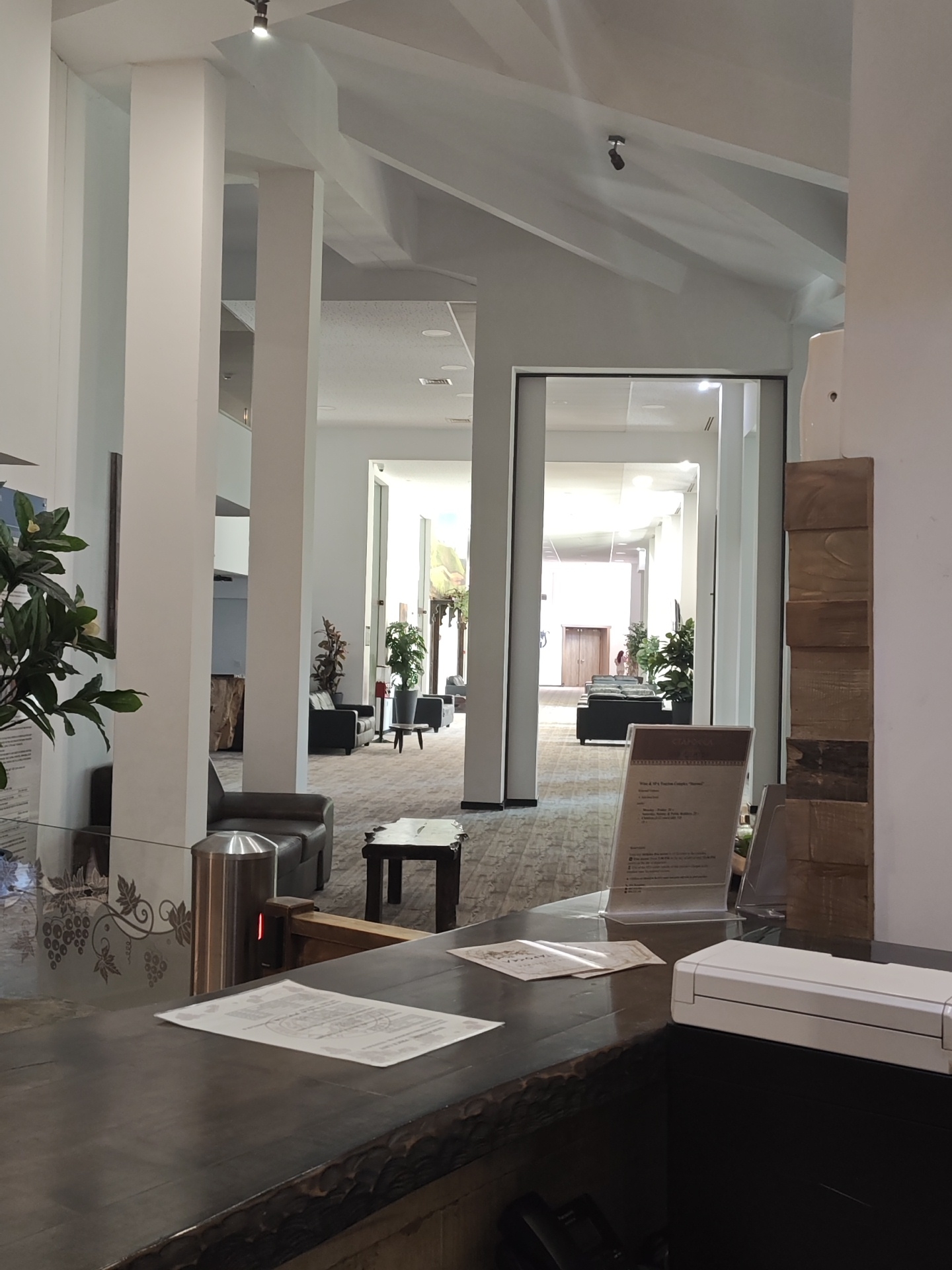 The image depicts the interior of what appears to be a hotel lobby or resort in Krasnovo, Bulgaria. White pillars support the high ceiling, creating a sense of spaciousness. There are couches and tables in the open area beyond the reception desk. A glass-enclosed reception area with decorative grapevine patterns partially obstructs the view. A metal turnstile and informational pamphlets are placed on the dark, rustic-style reception desk. The overall ambiance suggests a modern, yet inviting space.