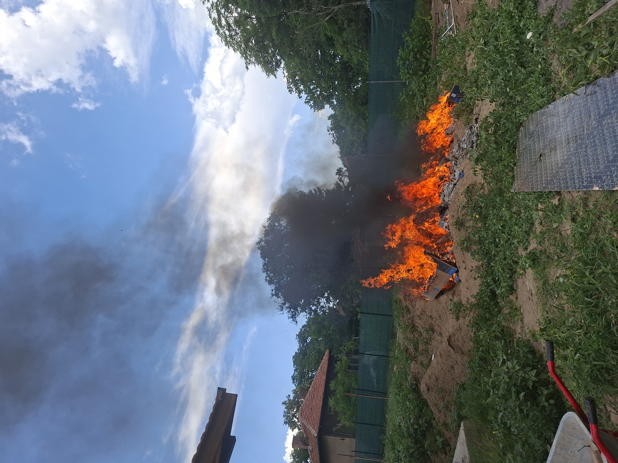 The media file depicts an outdoor scene with a fire burning in the middle of a sandy area, surrounded by lush green vegetation. The fire is intense, with bright orange flames reaching upwards, and a thick plume of dark smoke billows into the sky. In the background, trees and a house with a red-tiled roof are visible. A green fence runs along the edge of the property. To the right of the fire, a large piece of dark material, possibly plywood or a sheet of metal, rests on the ground. A red-handled wheelbarrow is also visible in the lower right corner.
The scene appears to be a backyard or garden area in Dolna Malina, Bulgaria. The bright sunlight and blue sky with scattered clouds suggest it is daytime, likely late morning or early afternoon. The presence of fire and smoke indicates an outdoor burning event, possibly of trash or debris. No people are visible in the frame.
Notable details include the vibrant flames, the contrast between the burning fire and the green foliage, and the dark smoke rising against the blue sky. The overall impression is one of an active burning process in a semi-rural or residential setting. There is no visible text in the image.