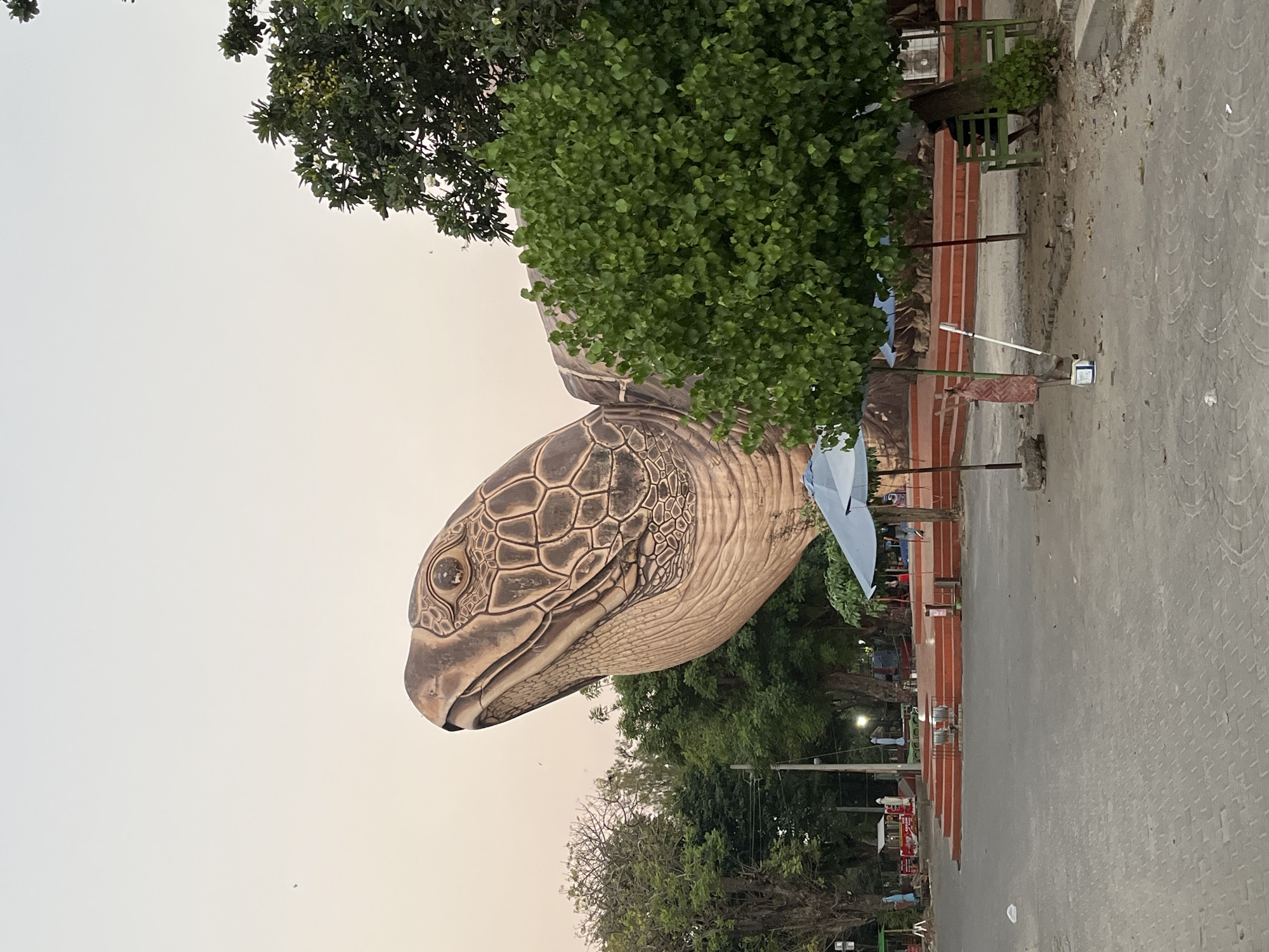 A large turtle statue dominates the foreground of the image, with its head turned to the left and its patterned shell visible. The statue appears to be made of concrete or a similar material and is ornately decorated. Behind the statue, a park-like setting is visible with trees, benches, and several food stalls. The sky is a soft, pale orange, indicating either sunrise or sunset. The image is captured from a low angle, emphasizing the scale of the turtle statue. This scene is located in the city of Jepara, Indonesia.
