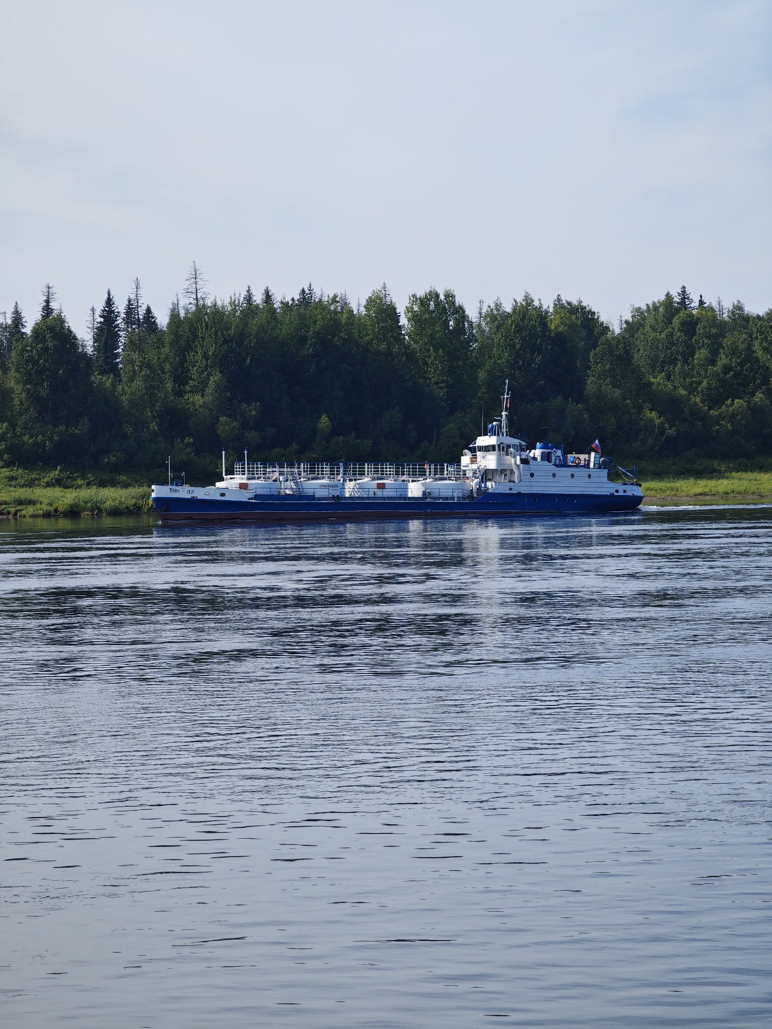 A blue and white tanker ship is sailing on a wide river. The ship has a white superstructure with a blue hull. It is decorated with white railings and a few flags. The river is calm, with small ripples on its surface. On the far bank of the river, there is a dense forest of green trees. The sky above is clear and blue. The scene appears to be in Nizhneshadrino, Russia.