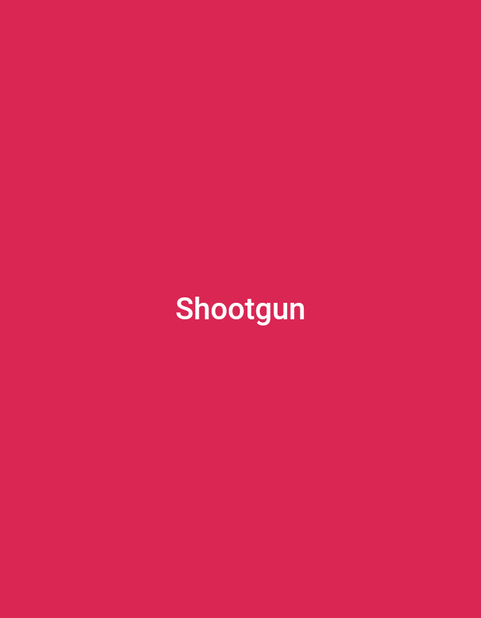 The image is a solid pink background with the word "Shootgun" in white text centered on the frame. There is no information to describe the location in Plovdiv, Bulgaria, the presence of people, objects, actions, or interactions.