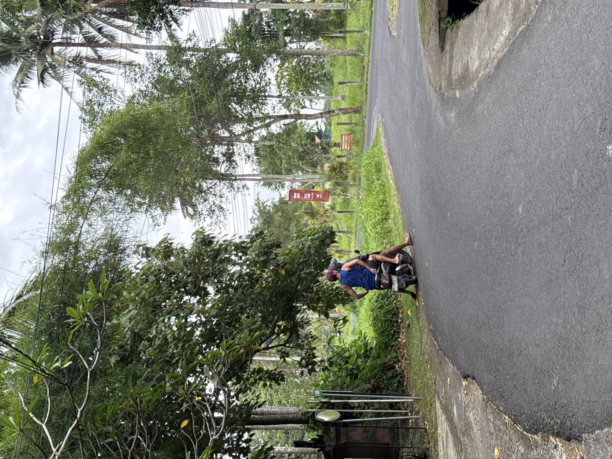 The image captures a tranquil, rural or semi-rural scene on what appears to be an overcast day. A paved asphalt road, showing some wear, curves gently from the foreground towards the background, flanked by abundant green vegetation.
On the right side of the road, a person is seated on a black scooter or motorcycle, seemingly stopped by the roadside. The person is wearing a blue sleeveless top, shorts, and a purple cap, and appears to be looking down, possibly at a mobile phone. Their bare feet are visible, resting on the ground or pegs. The scooter's license plate, "DK 2916 XZ", is visible, indicating the location is Bali, Indonesia.
The landscape is lush with tropical foliage. Tall palm trees and other dense, leafy trees line both sides of the road, creating a verdant canopy. In the background, beyond the trees, more green fields or brush are visible. Utility poles and a network of overhead wires run across the upper portion of the scene.
Several red signs are placed along the road. One clearly legible sign on the left side of the road (from the viewer's perspective, looking down the road) reads "WARUNG" (an Indonesian small restaurant or food stall) and partially visible "MIE", suggesting noodles. Another smaller, reddish sign is further in the background, but its text is illegible. In the bottom left, various metallic poles and a round, reflective object are visible, possibly tools or roadside markers. The sky is predominantly white and grey with clouds, indicating an overcast daytime setting.