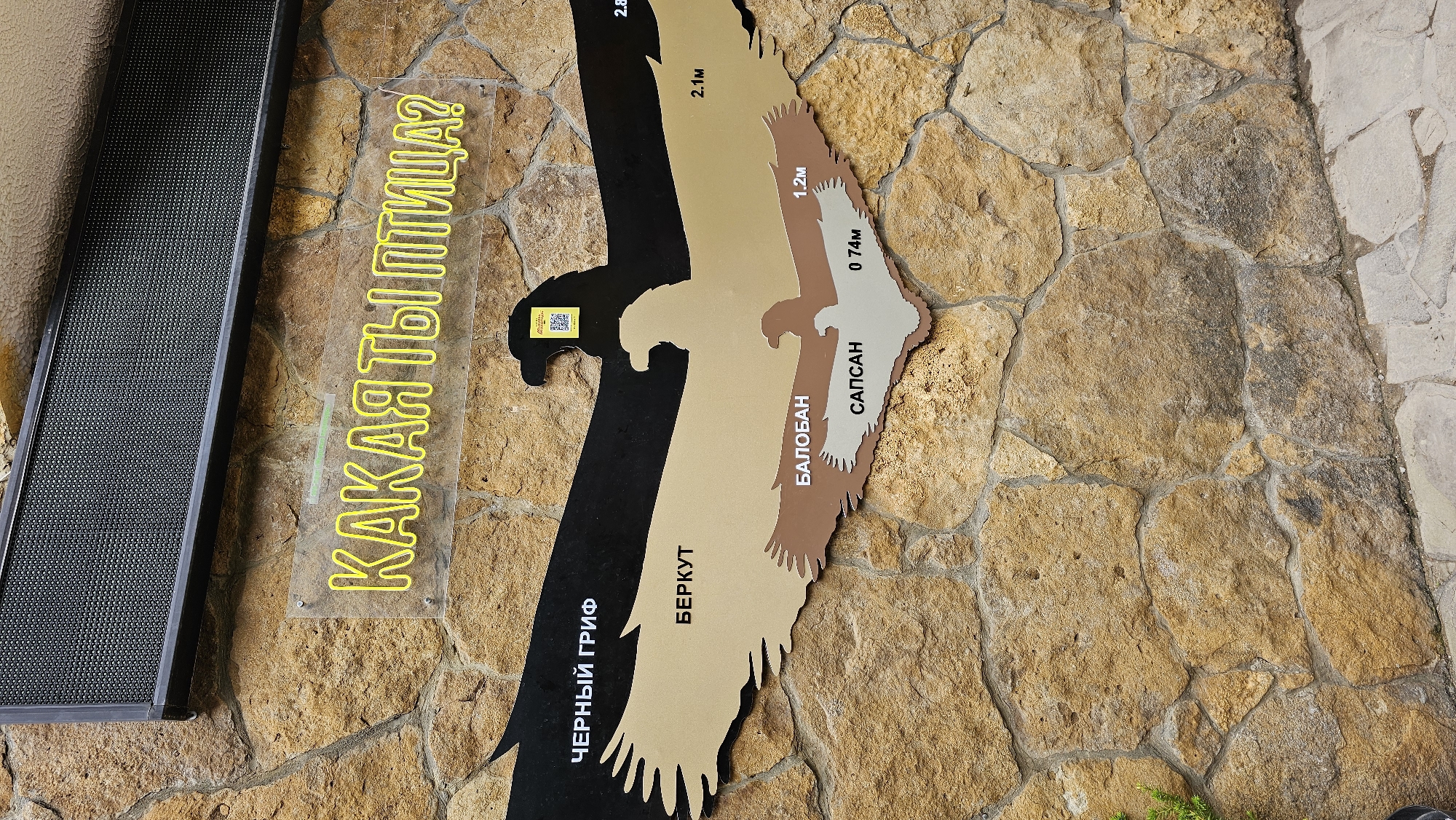 The image shows a display of bird silhouettes with their names and wingspans on a stone wall. The display is an educational exhibit located in the city of Krasnyy Kurgan, Russia. The birds depicted are, from largest to smallest: Черный гриф (Black Vulture) with a wingspan of 2.8m, Беркут (Golden Eagle) with a wingspan of 2.1m, Балобан (Saker Falcon) with a wingspan of 1.2m, and Сапсан (Peregrine Falcon) with a wingspan of 0.74m. Above the silhouettes, a neon sign reads "КАКАЯ ТЫ ПТИЦА?" which translates to "What kind of bird are you?". A QR code is also visible on the display. The background is a rough, textured stone wall.