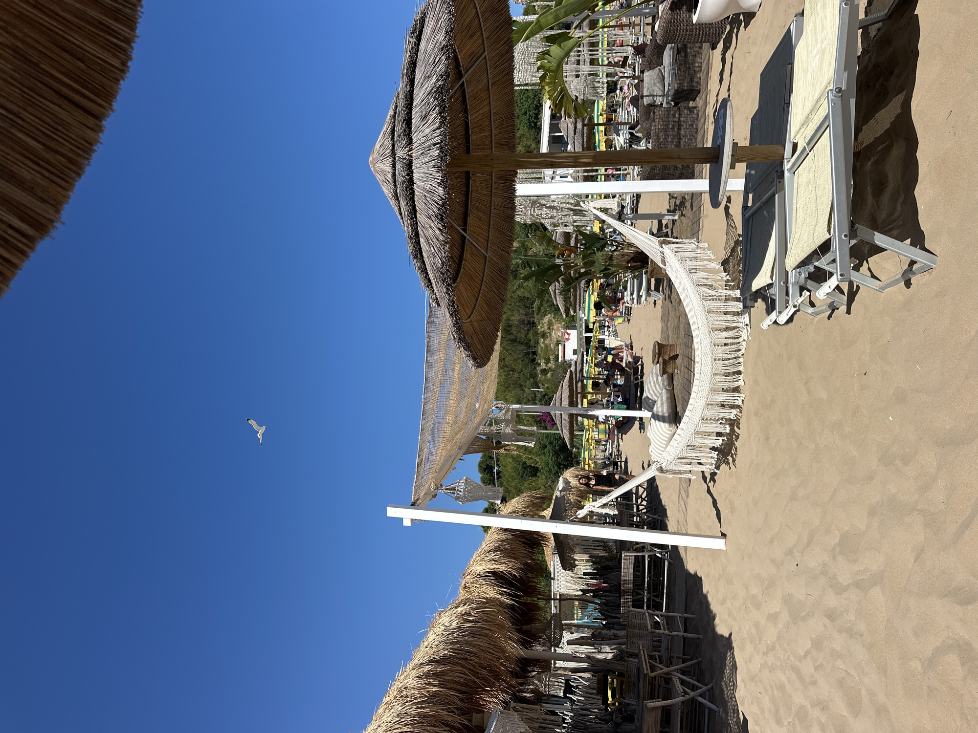 The image depicts a sun-drenched beach scene in Peschici, Italy. In the foreground, two empty lounge chairs sit on the sand, casting shadows. A white hammock with fringe hangs between two white posts, with striped cushions visible behind it. A large thatched umbrella stands to the right, providing shade. In the midground, several thatched-roof structures, presumably part of a beachside establishment, are visible, along with tables and chairs. A woman in a black dress walks towards the left. In the background, more beach umbrellas and lounge chairs are set up, with people seated on them. A lush green hillside rises behind the beach. The sky is a clear, bright blue, with a single seagull in flight. The overall impression is one of a relaxed and lively beach atmosphere on a summer day.