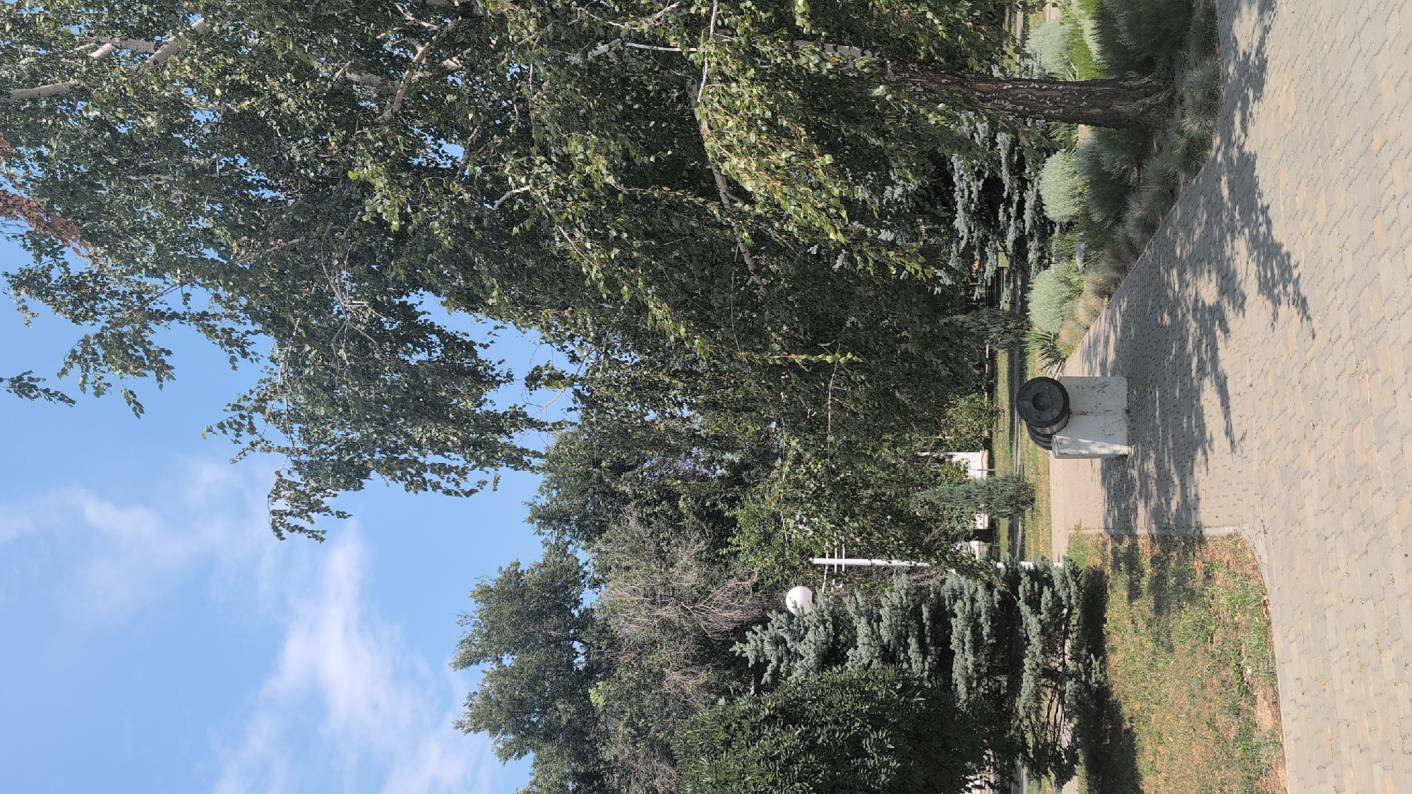 The image depicts a park area with a paved walkway and various types of trees. In the foreground, a monument consisting of a concrete block with a cannon barrel on top is visible. The cannon barrel is dark and appears to be made of metal. To the left of the monument, a coniferous tree is prominent, and a lamppost with a spherical light fixture is partially visible behind it. The walkway is made of light-colored pavers. Beyond the walkway, there is a grassy area with more trees and some low-lying shrubs. The background is filled with lush green foliage from various trees, and the sky is blue with a few wispy clouds. The overall scene suggests a public park or memorial site. This monument is located in Izmail, Ukraine.