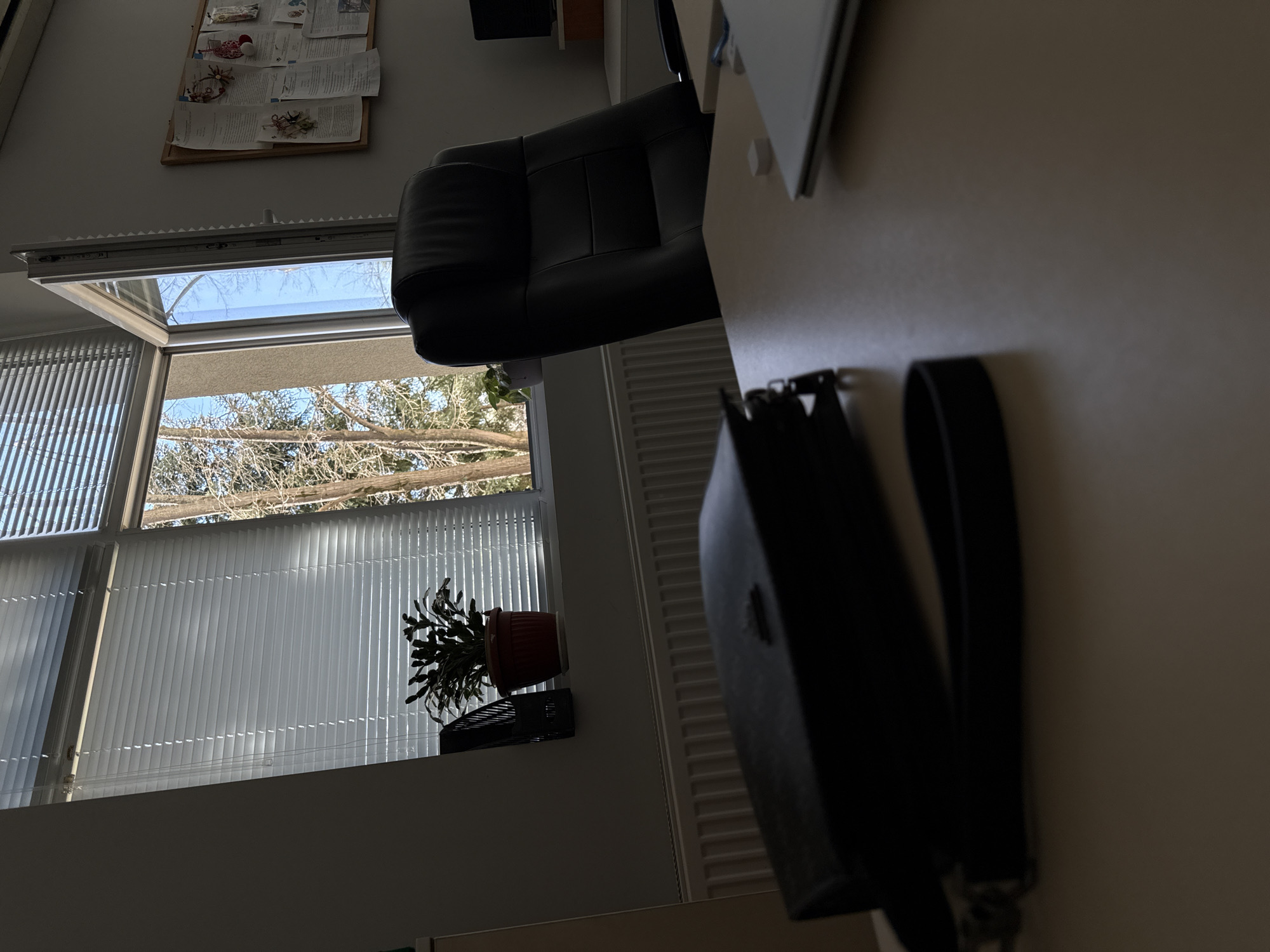 The image shows an interior scene. A window with partially opened blinds reveals bare tree branches against a bright sky, suggesting winter or early spring. A potted plant sits on a shelf below the window. To the right, a black leather office chair is visible near a desk. A black leather handbag with a strap hangs on the side of the desk. A notice board with papers pinned to it is fixed to the wall. The exact location in Sofia, Bulgaria, cannot be determined from the image.